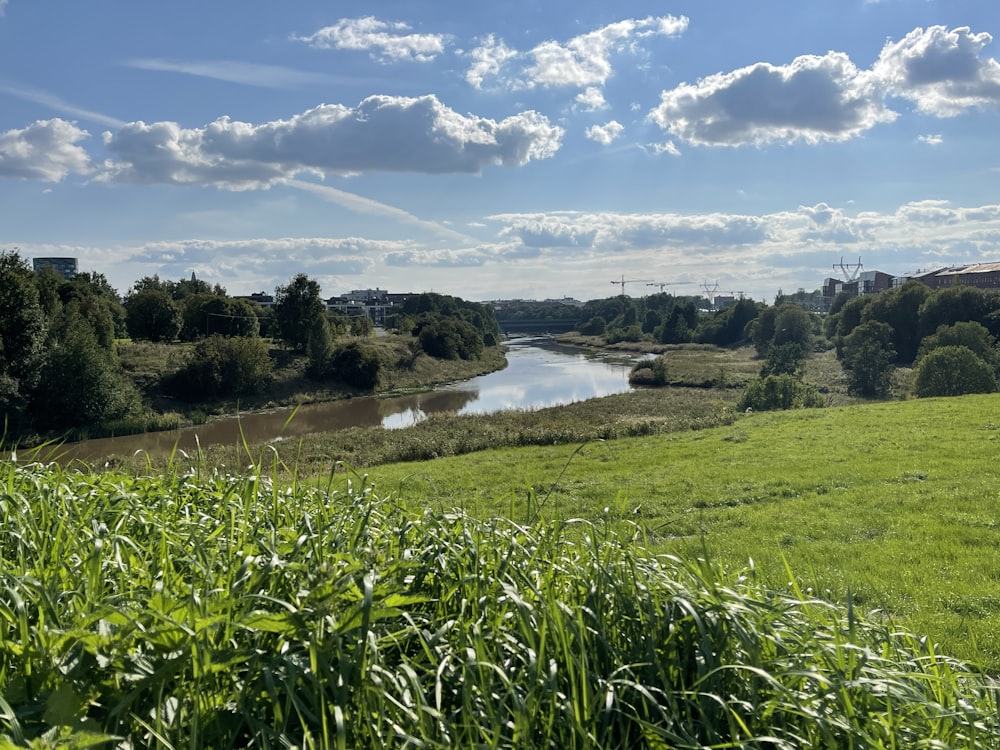 Champ d’herbe verte près du plan d’eau sous un ciel bleu pendant la journée