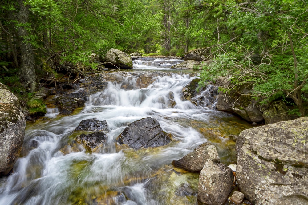 Wasserfälle am Rocky River