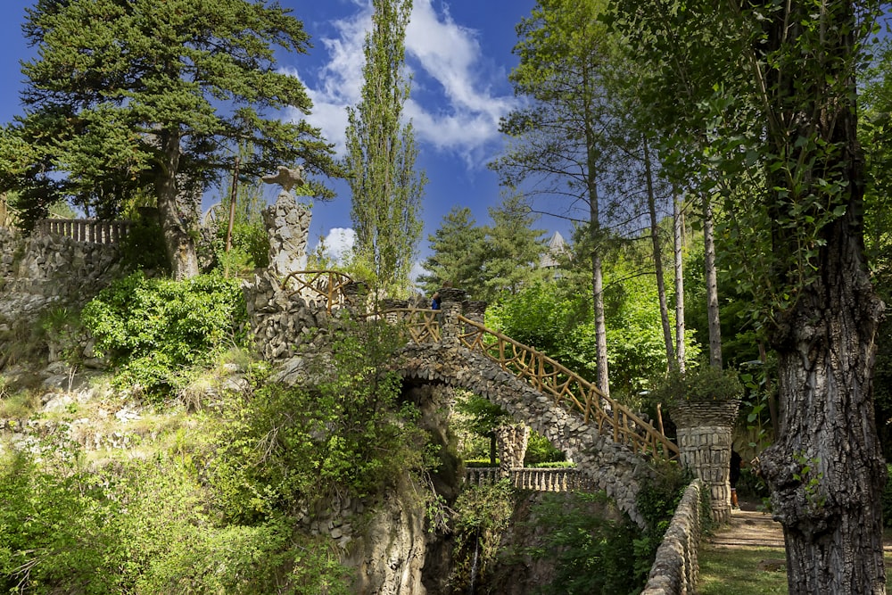 brown wooden bridge over green trees during daytime