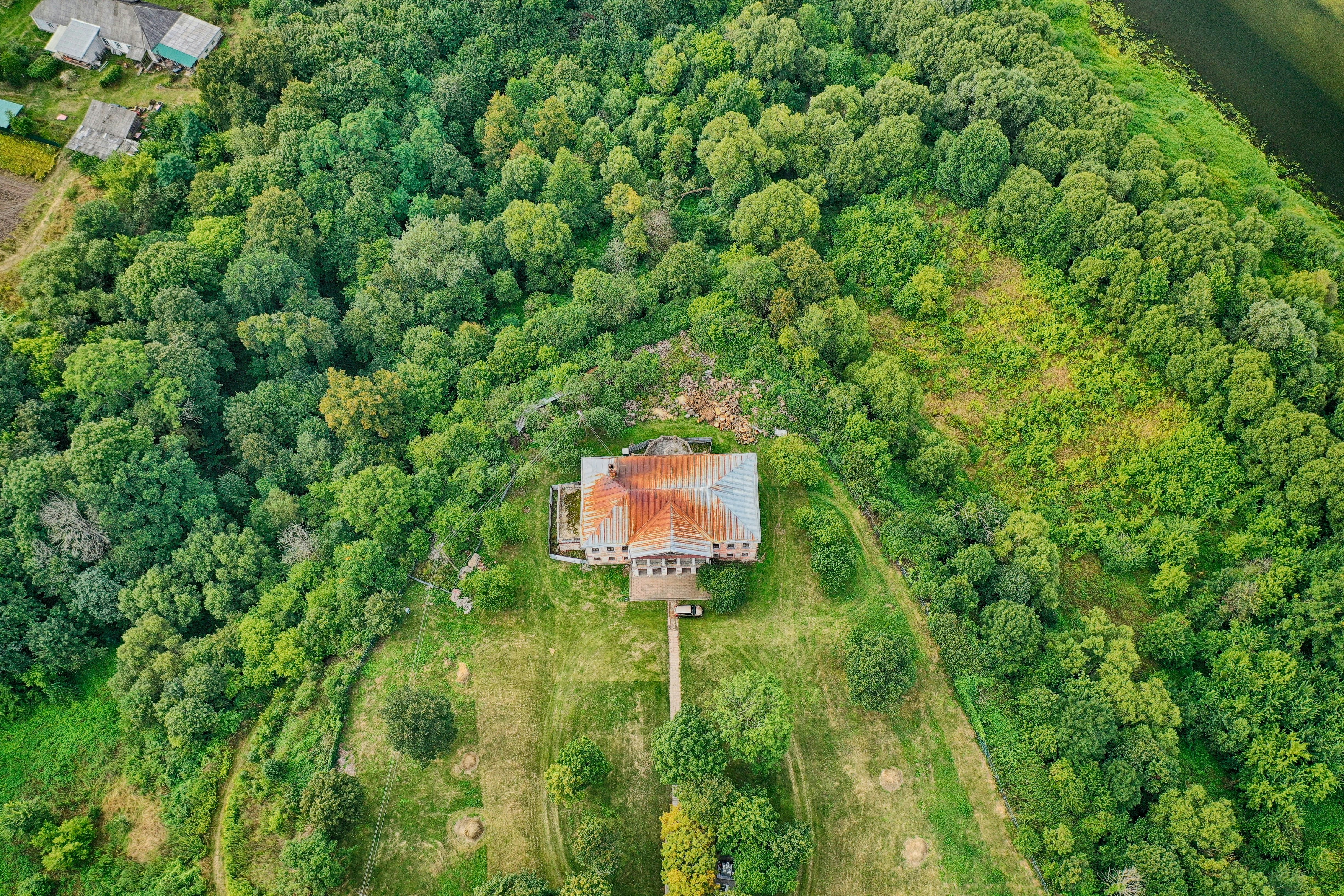 aerial view of green trees during daytime