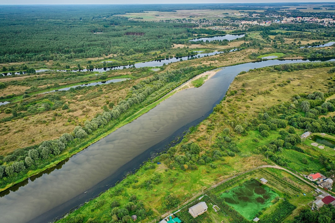 aerial view of green trees and river during daytime