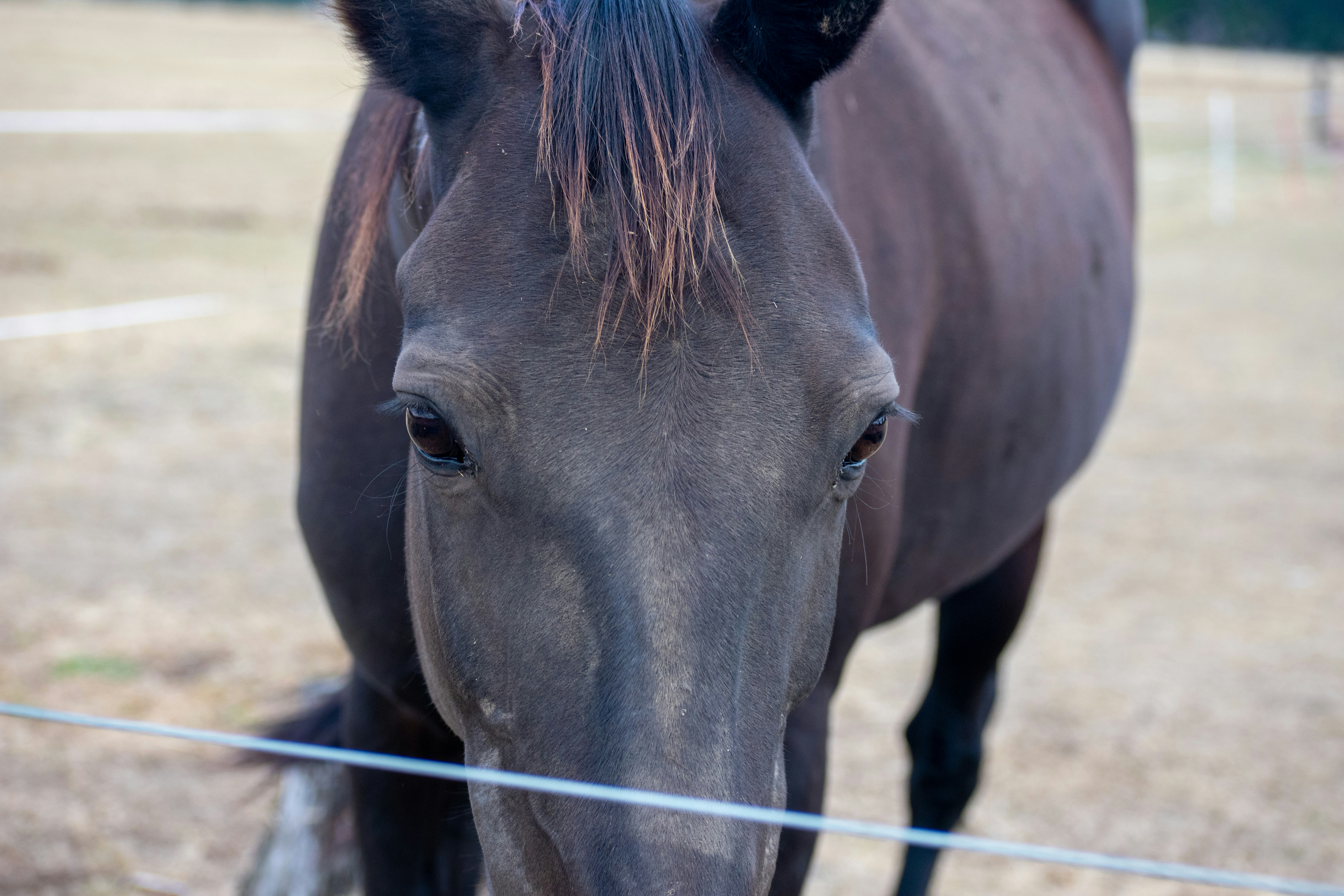 Photo by ellephant_photography