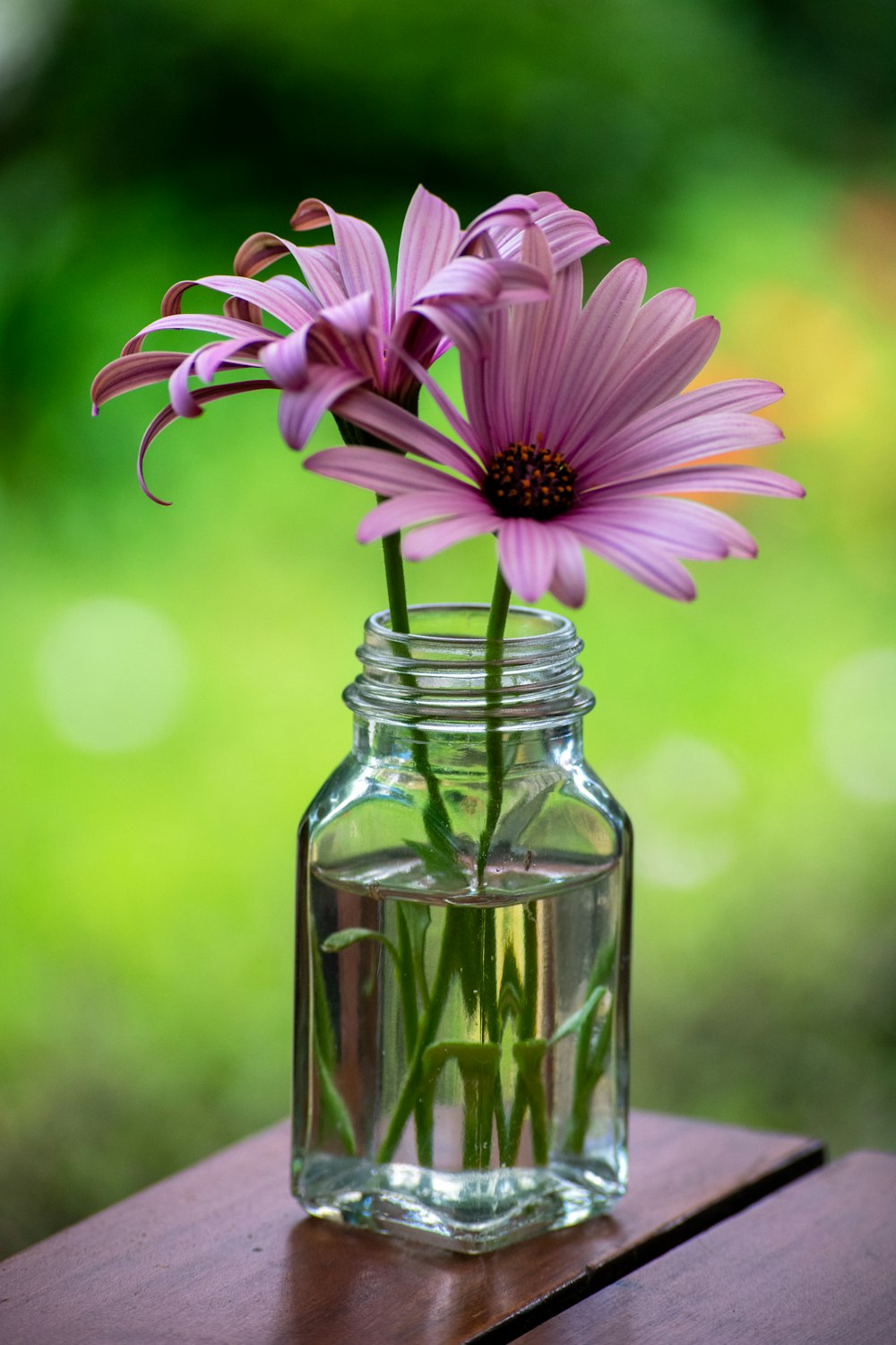 purple flower in clear glass bottle