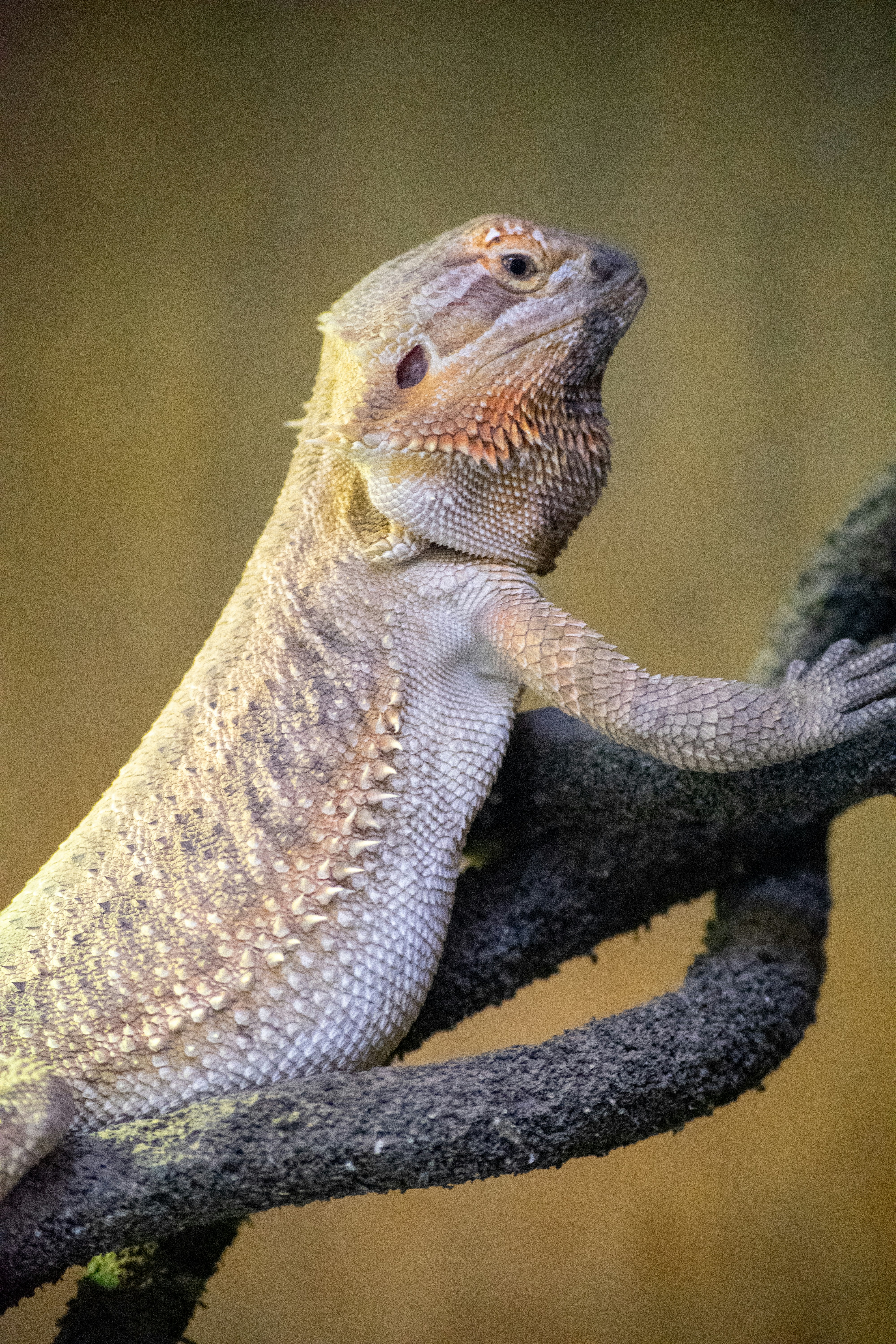 Photo by ellephant_photography