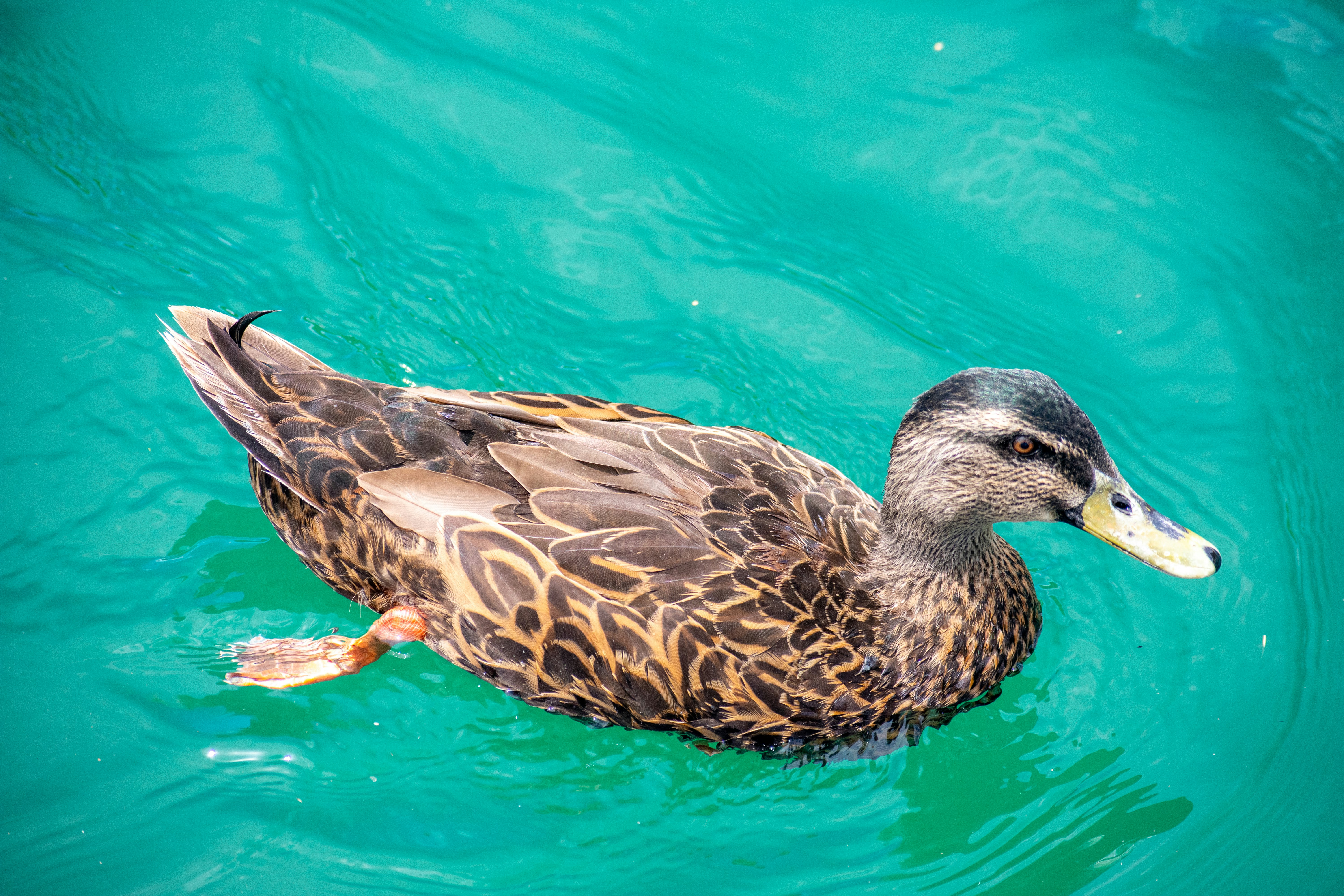 Photo by ellephant_photography