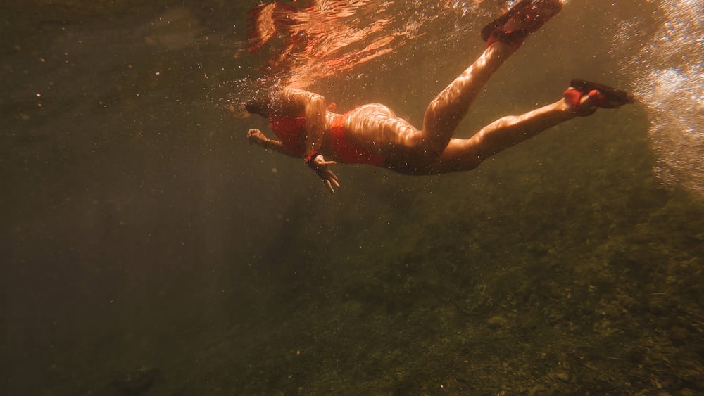 femme en bikini bleu nageant dans l’eau