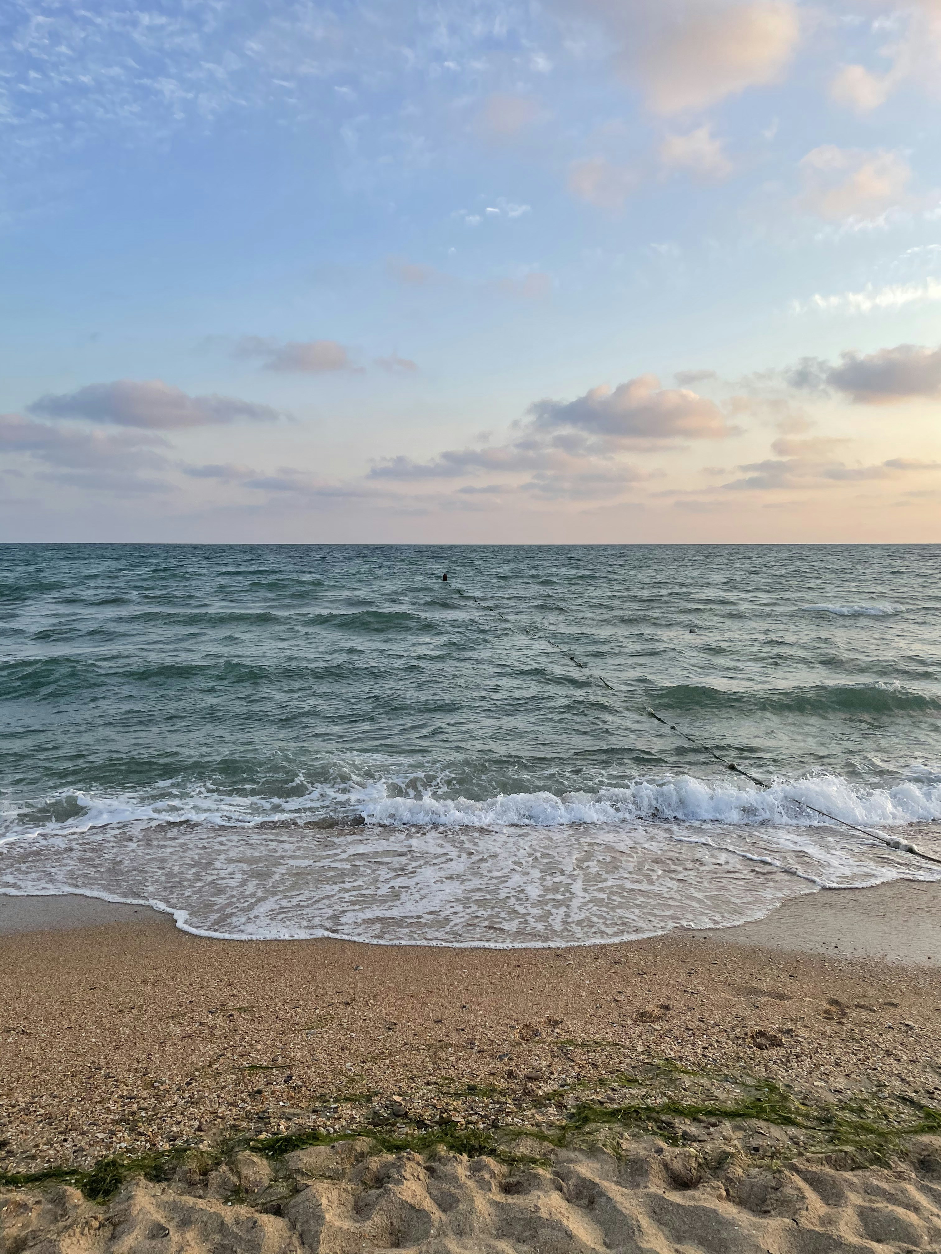 Photo by artmilitonian