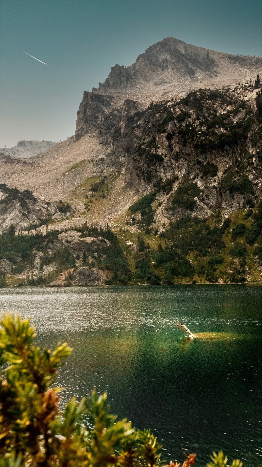 green trees on rocky mountain beside body of water during daytime