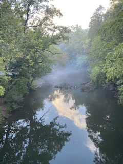 A serene river reflecting the lush green forest canopy under a misty morning sky.