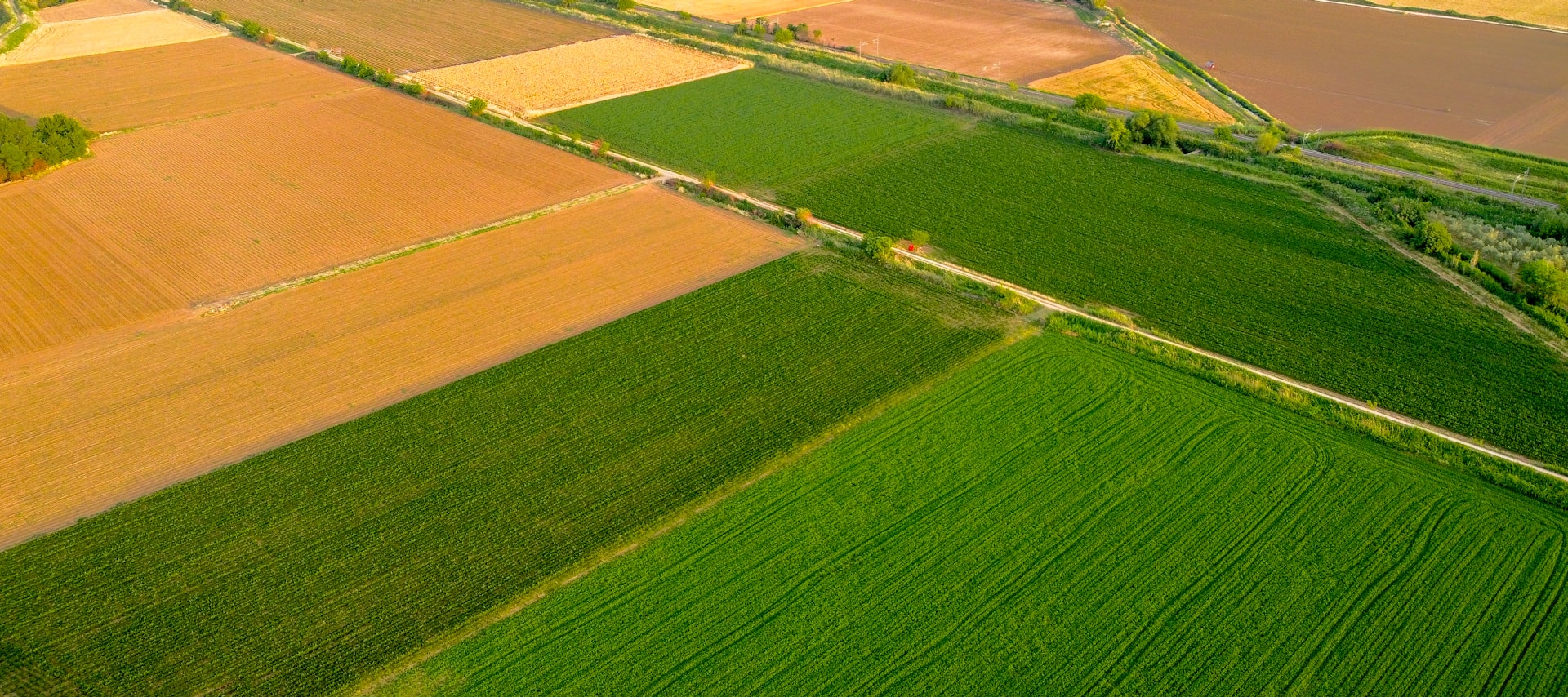 green grass field during daytime