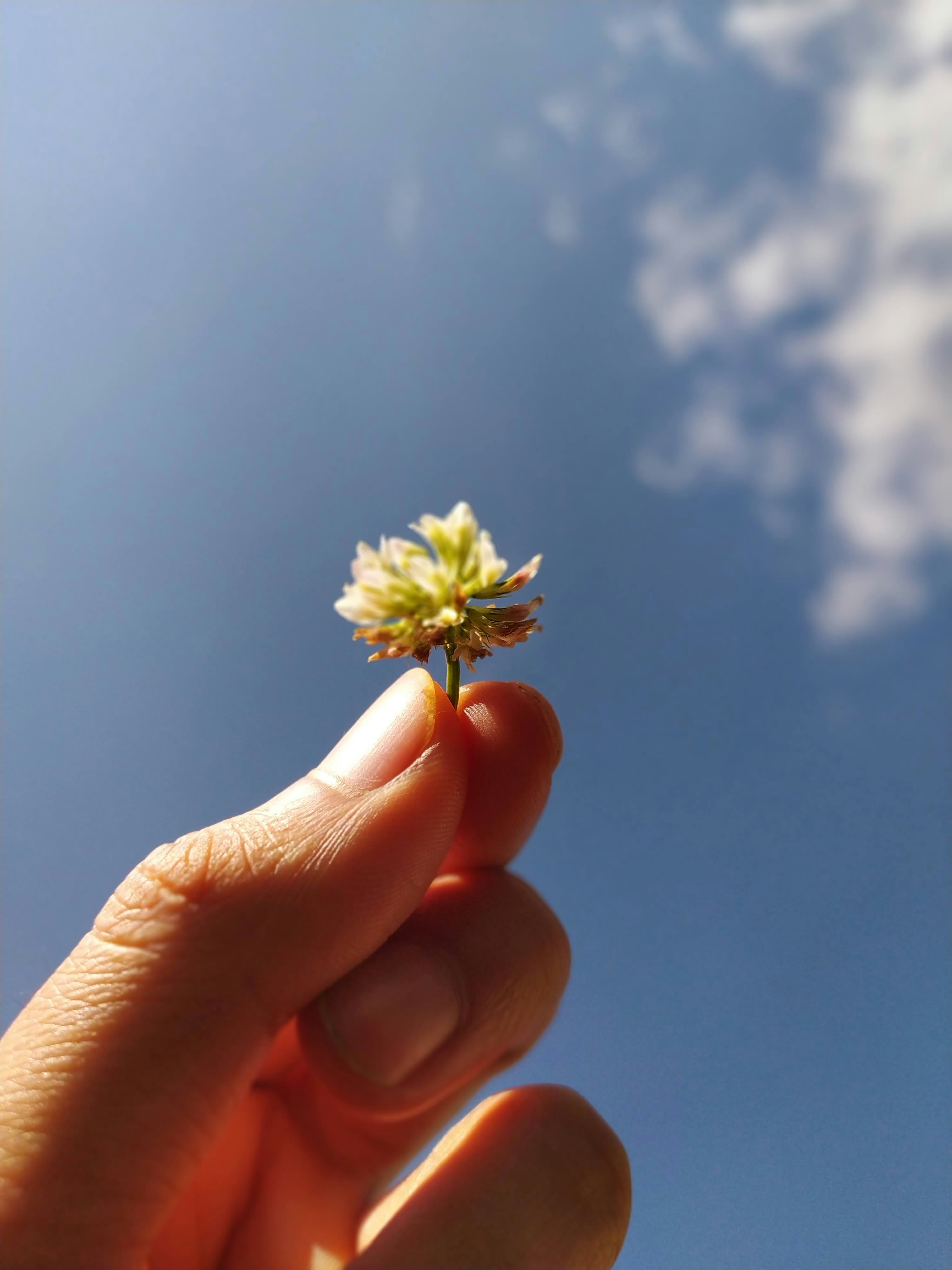 Photo by lbr2000