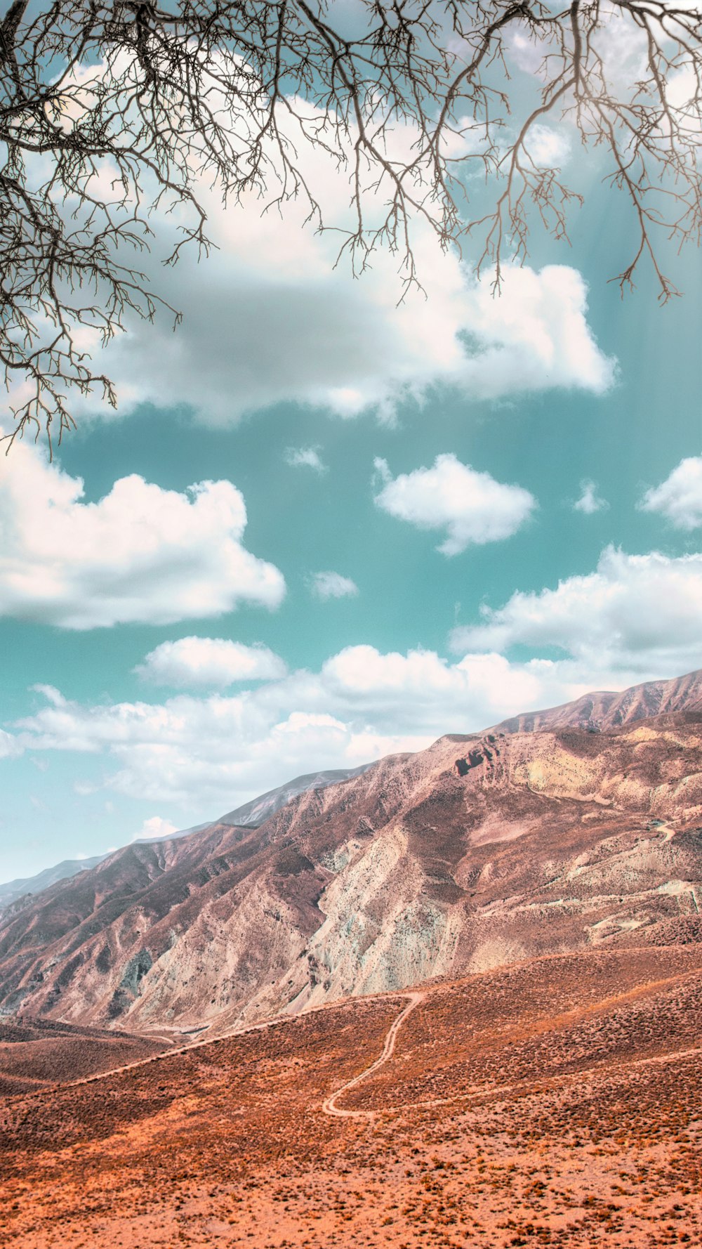 bare tree on brown mountain under blue sky during daytime