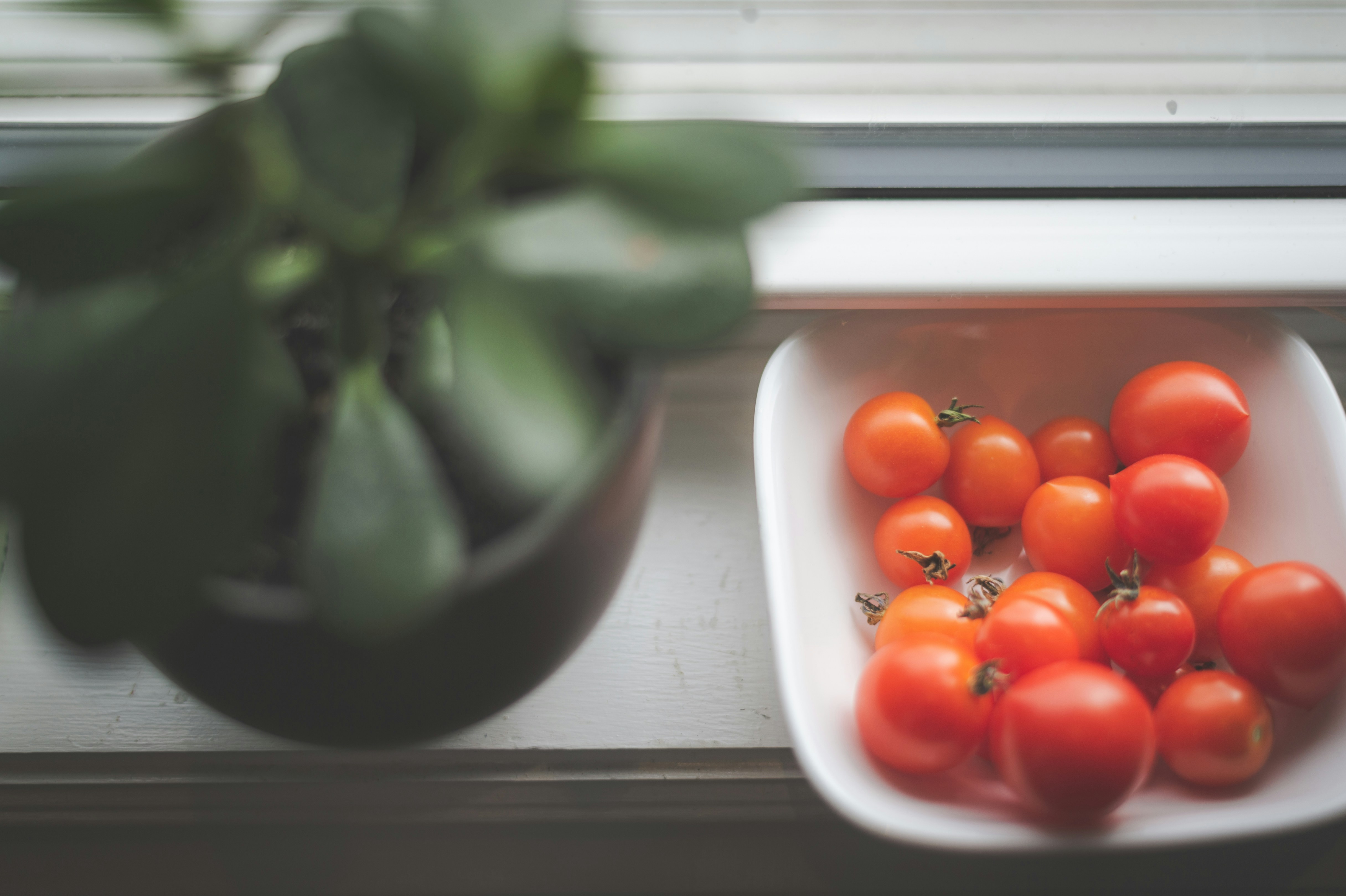 Photo by porkbellysteve