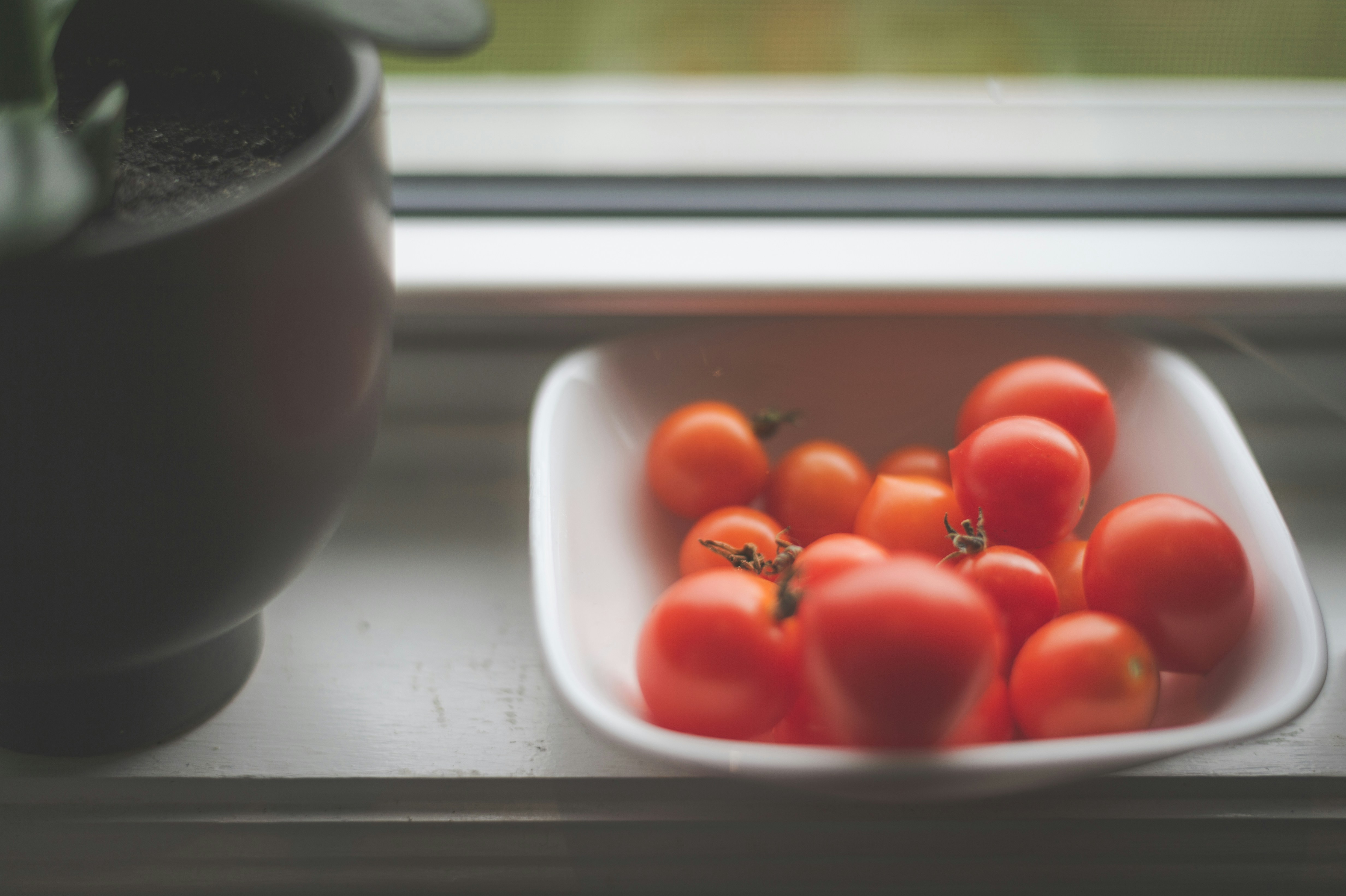 Photo by porkbellysteve