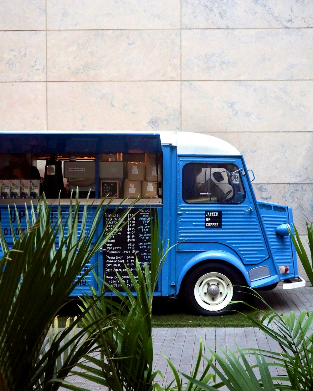 blue and white van parked beside green plants during daytime