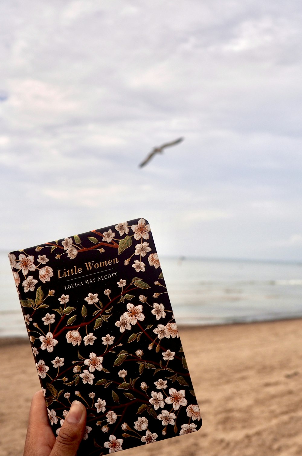 black and white floral book on beach shore during daytime