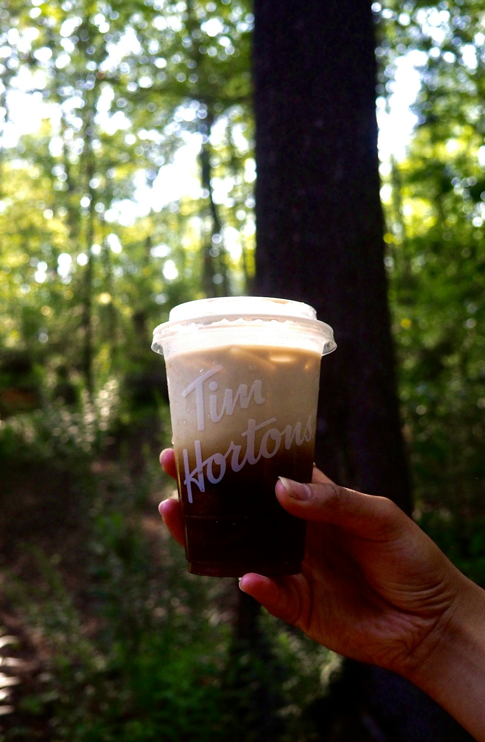 person holding dunkin donuts coffee cup