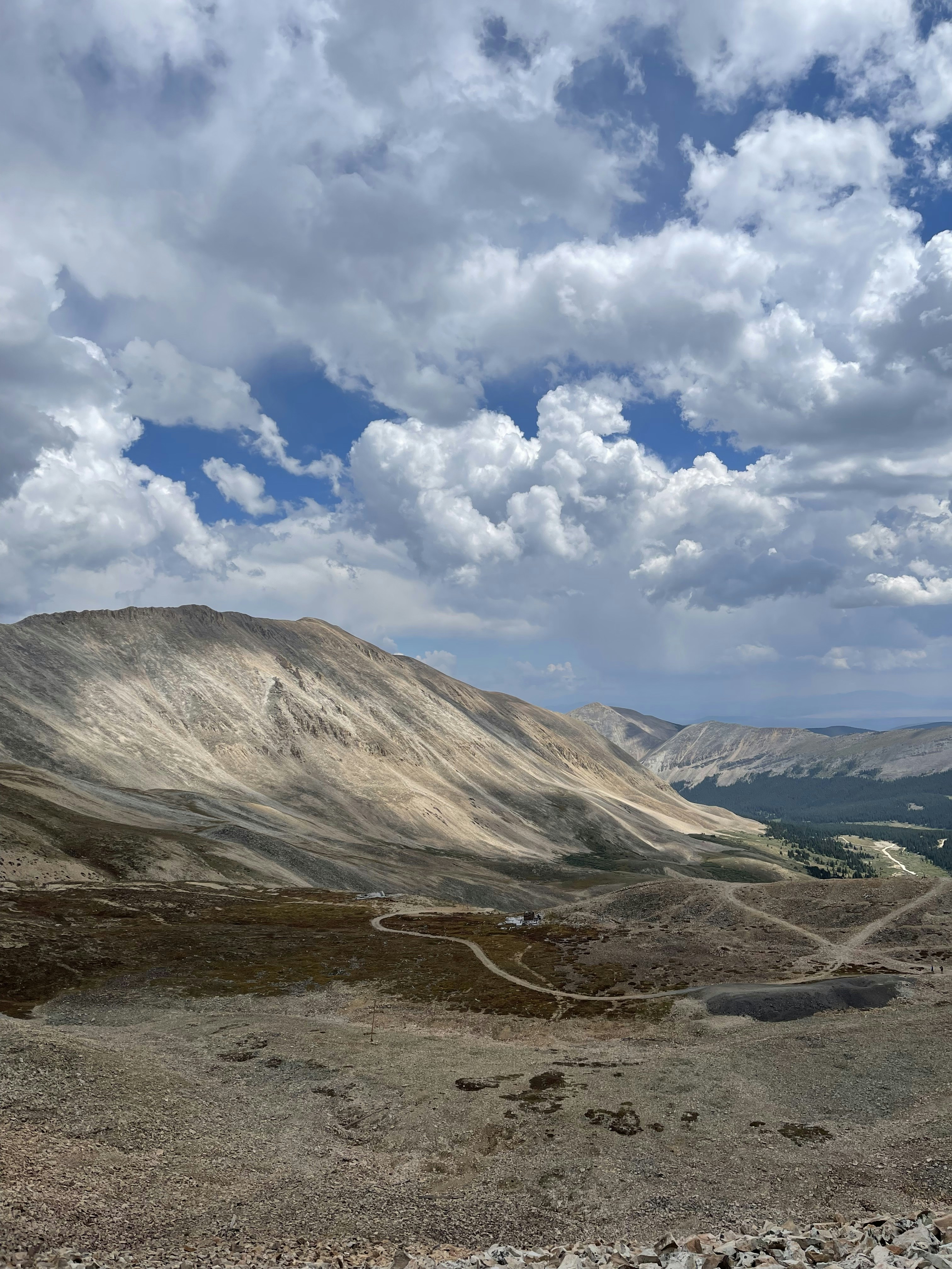 Photo by laitonbarbo