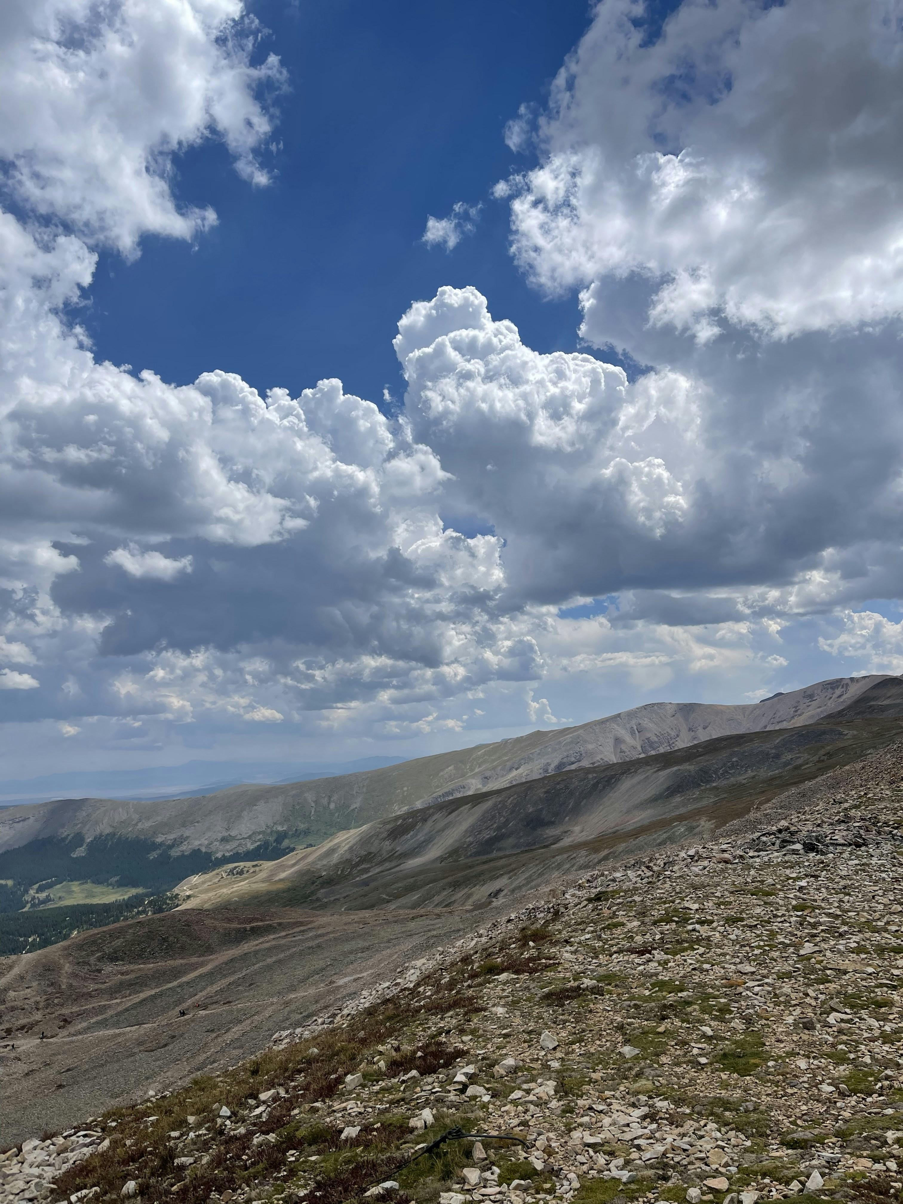 Photo by laitonbarbo