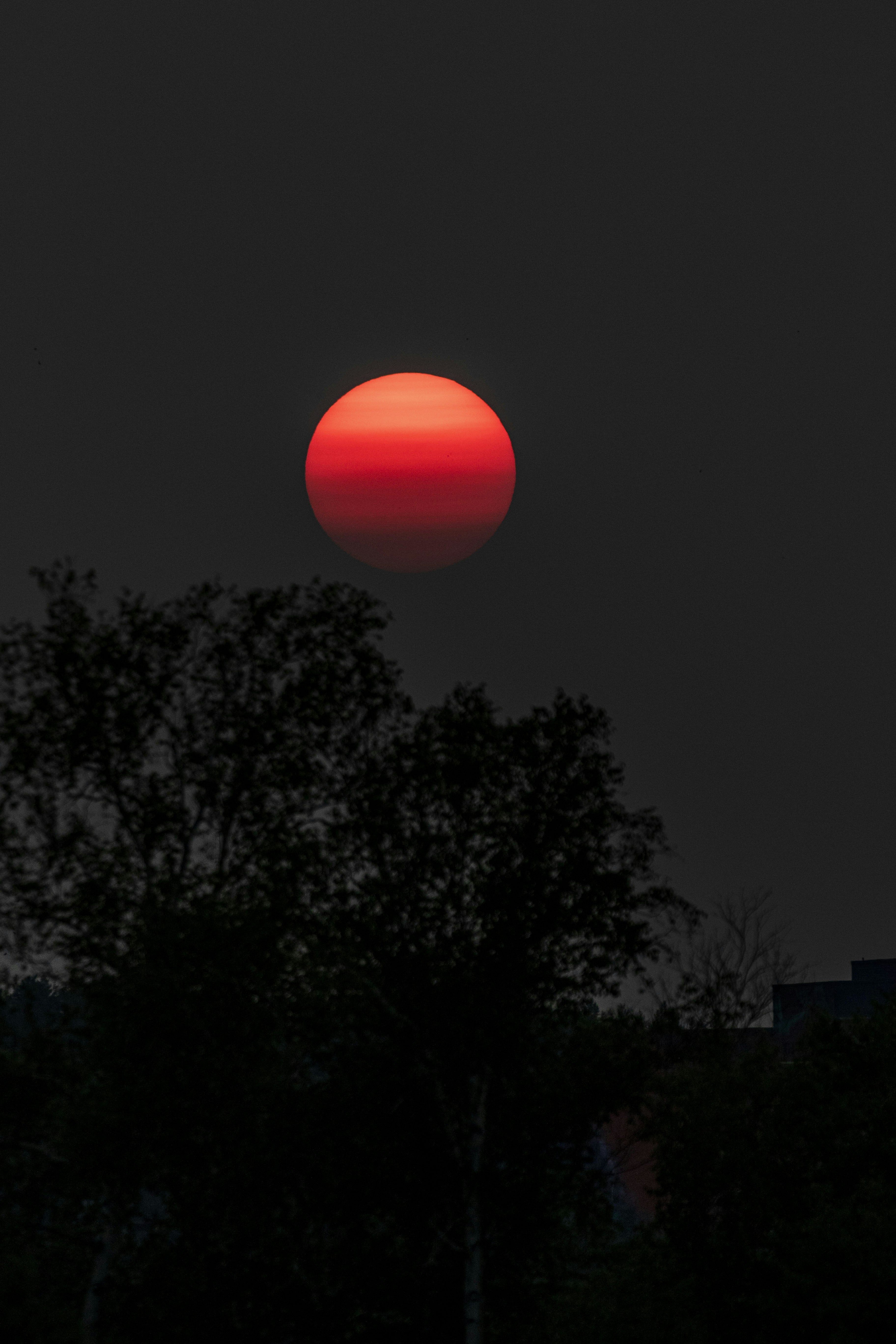 Photo by camerauthor