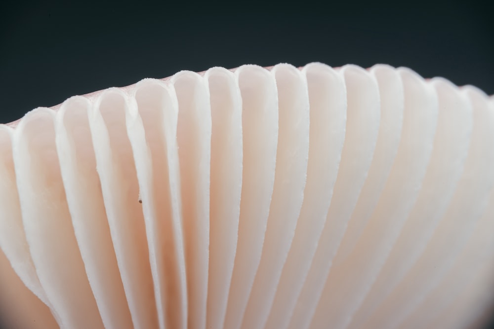 white spiral light on white surface