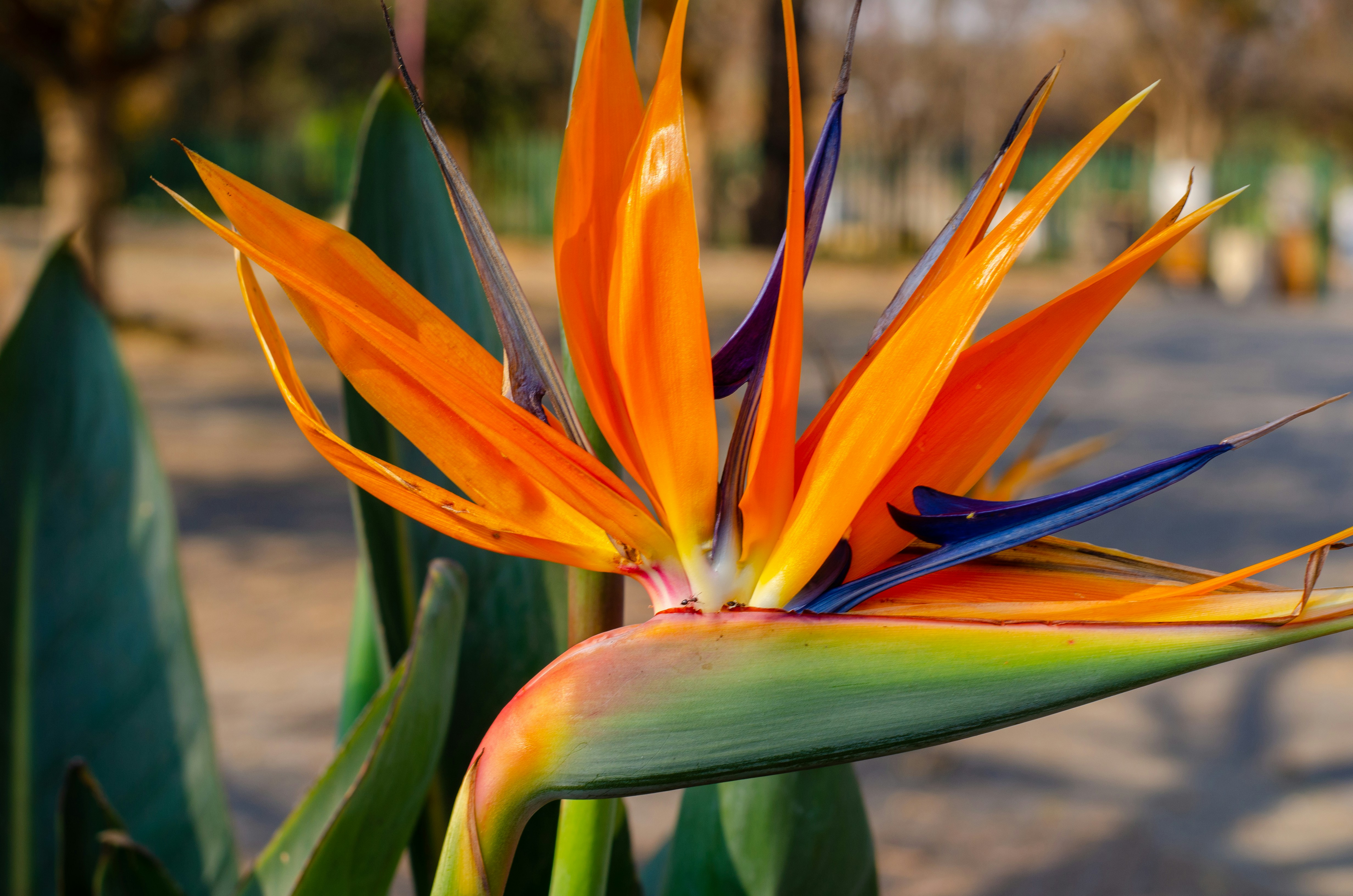 Photo by stewardesign