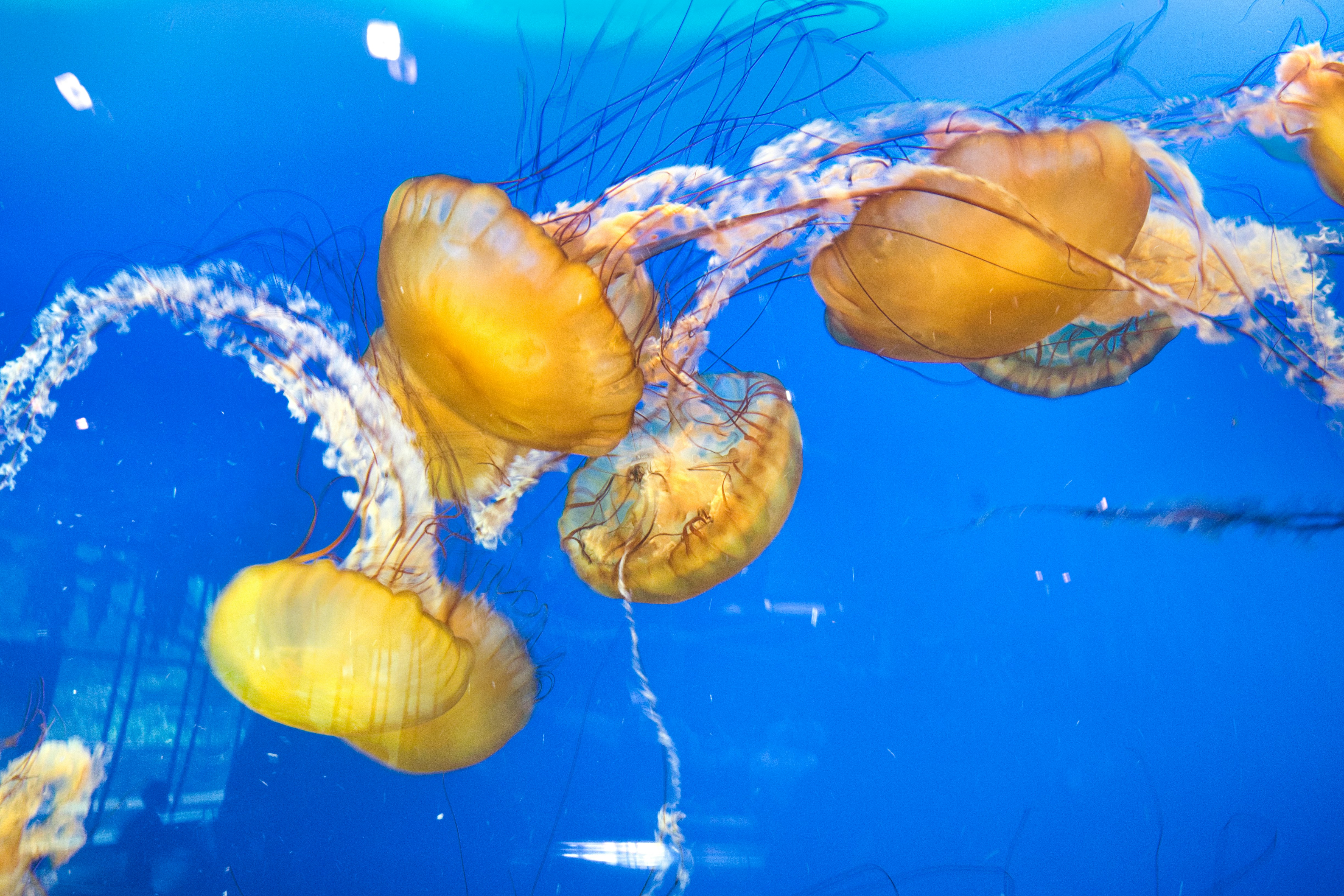 Photo by michael_exploring