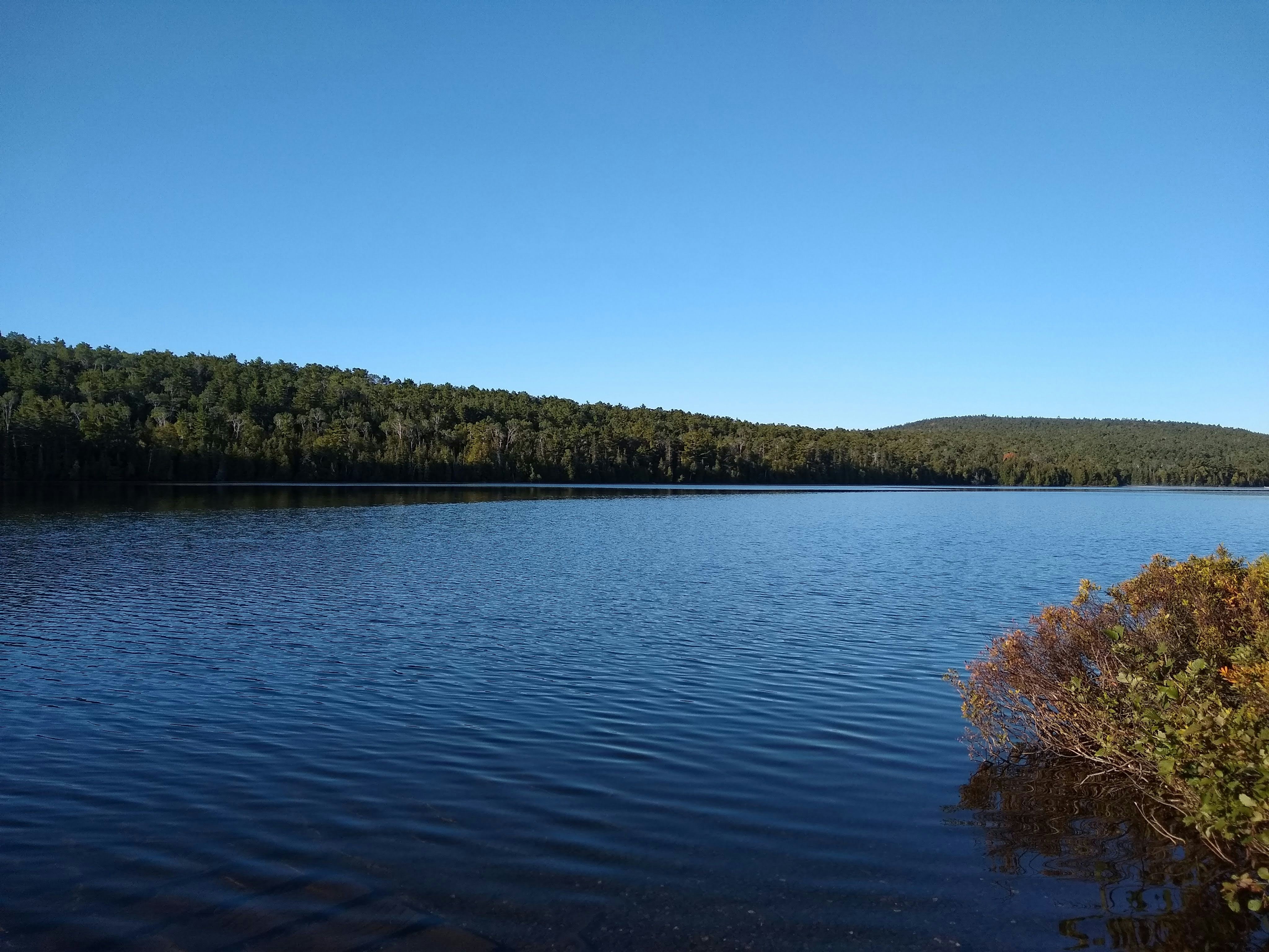 Photo by hmhrealitycheck