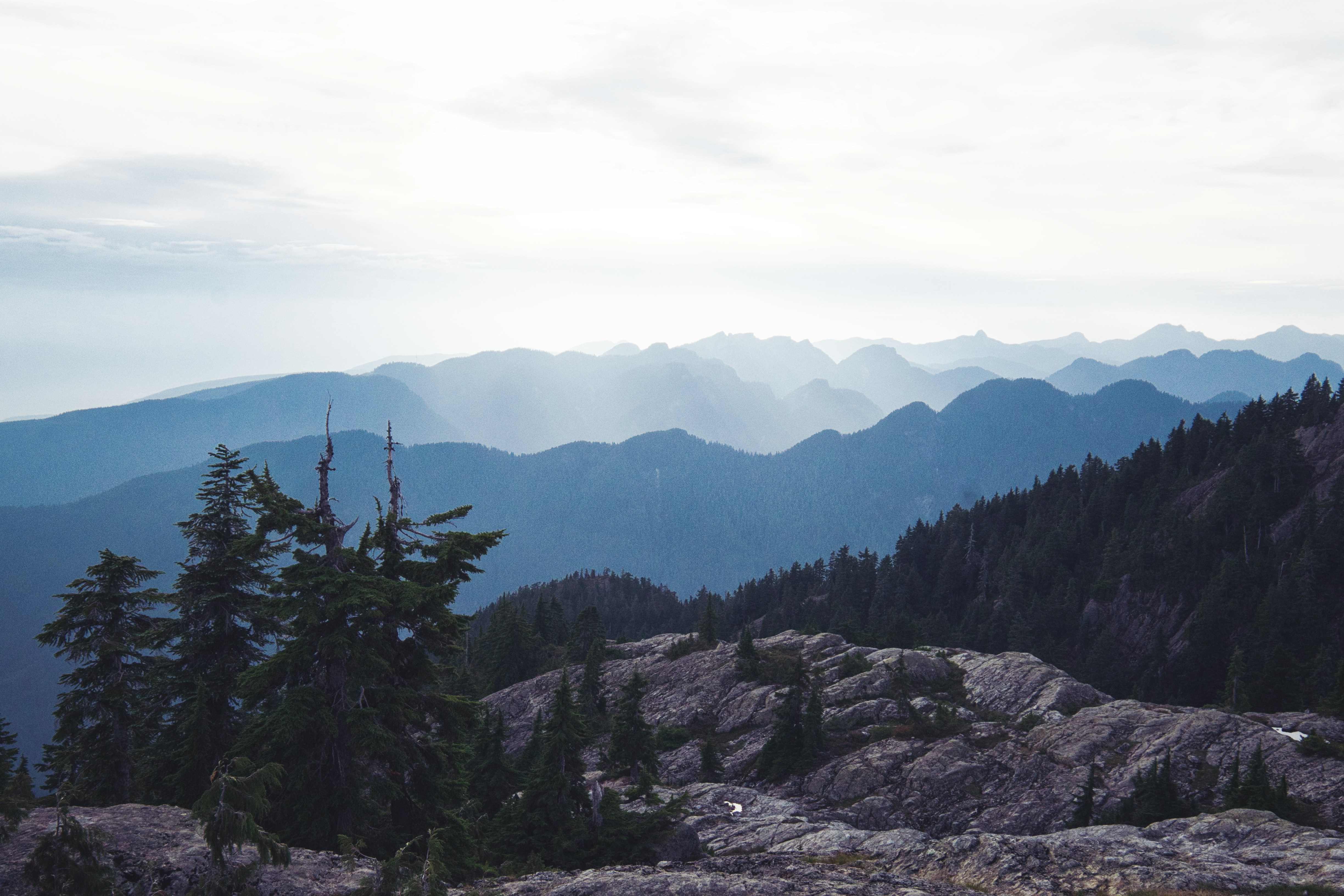 Photo by michael_exploring