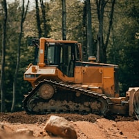 yellow and black front loader on forest during daytime