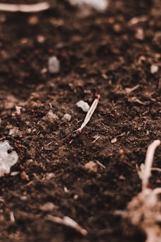 A close-up view of dark, rich soil with small stones and organic debris scattered throughout. The surface texture is rough, with subtle variations in color and material. A dry twig is prominent near the center, surrounded by scattered bits of dried plant matter.