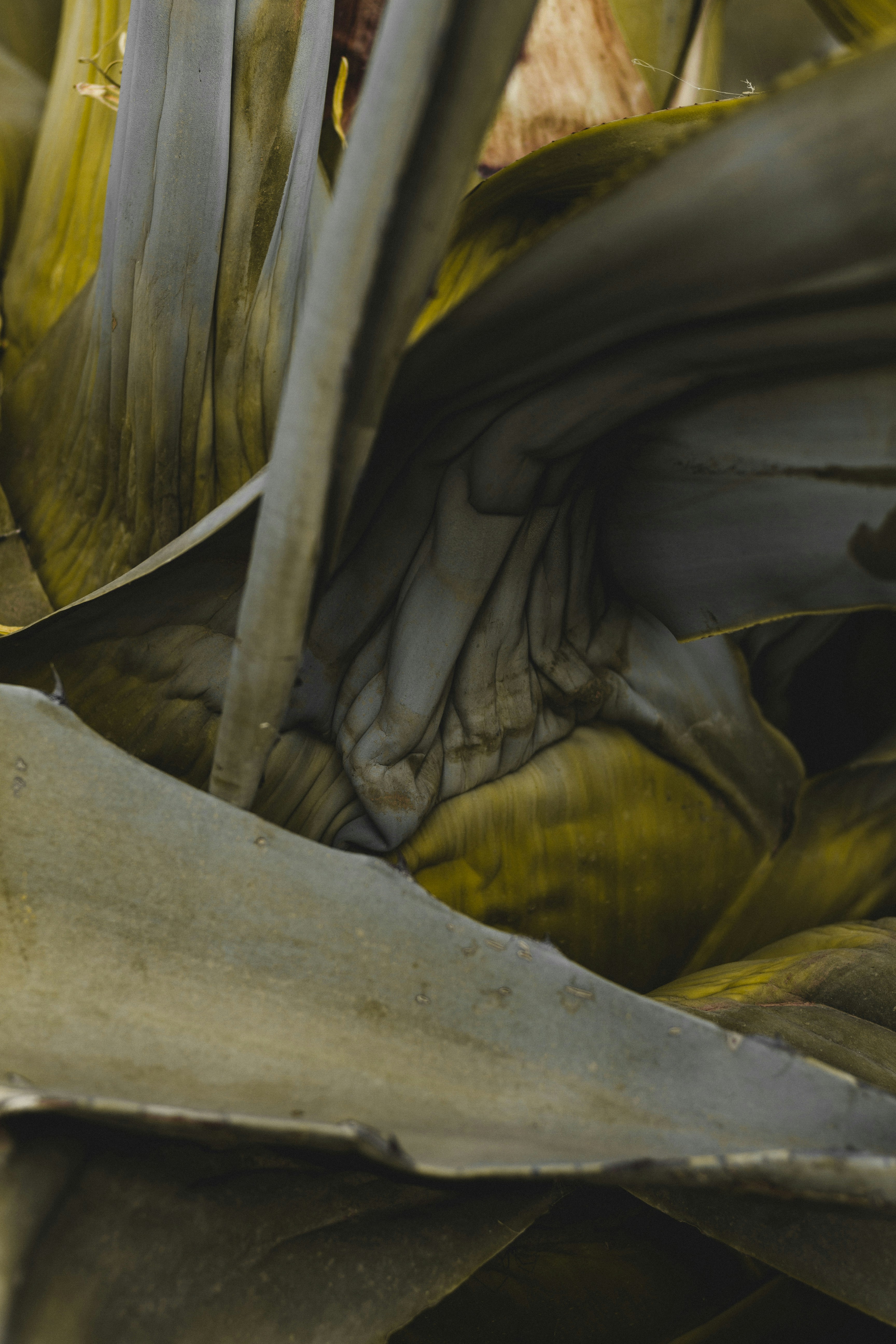 Photo by dhayaeddinebentaleb