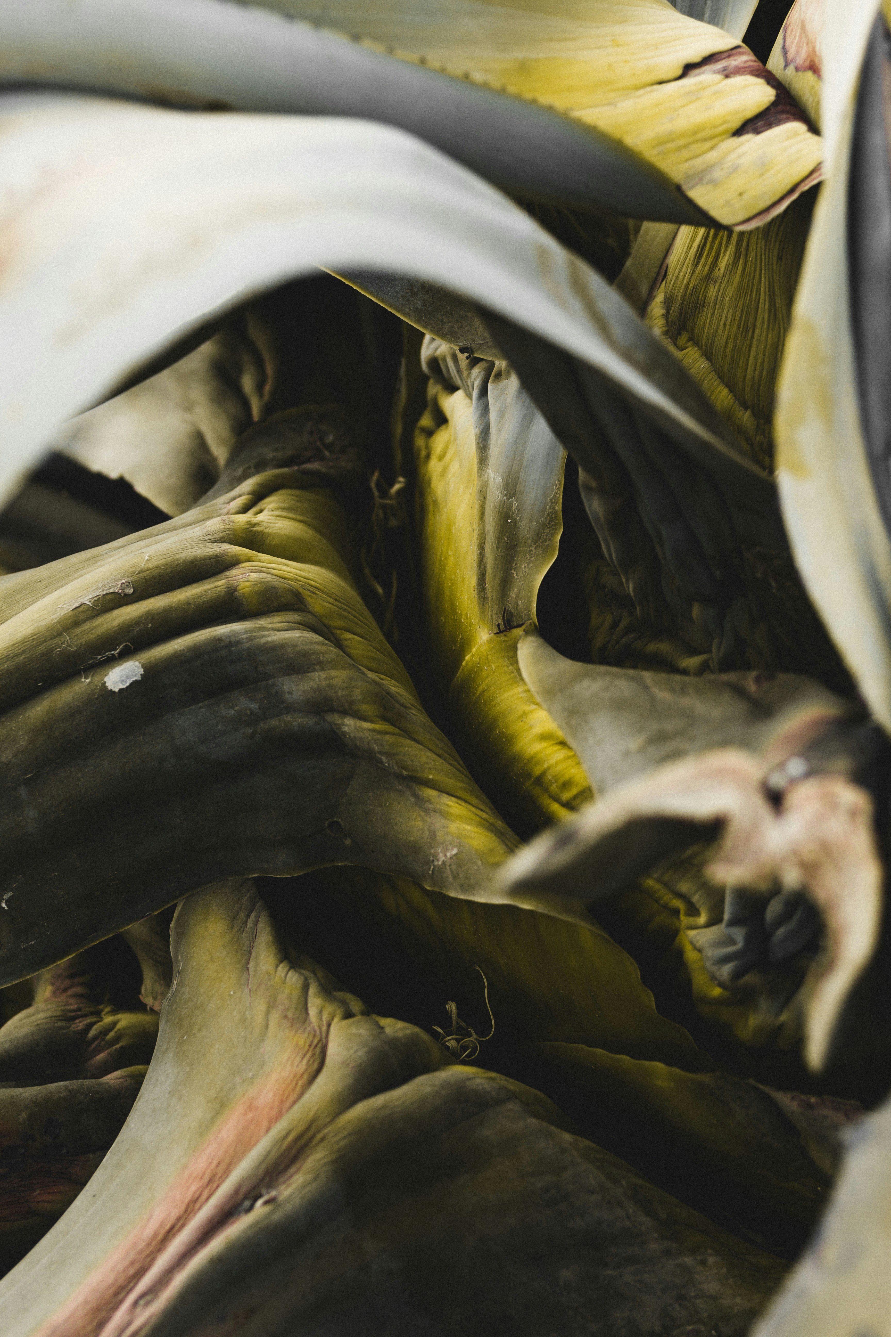 Photo by dhayaeddinebentaleb