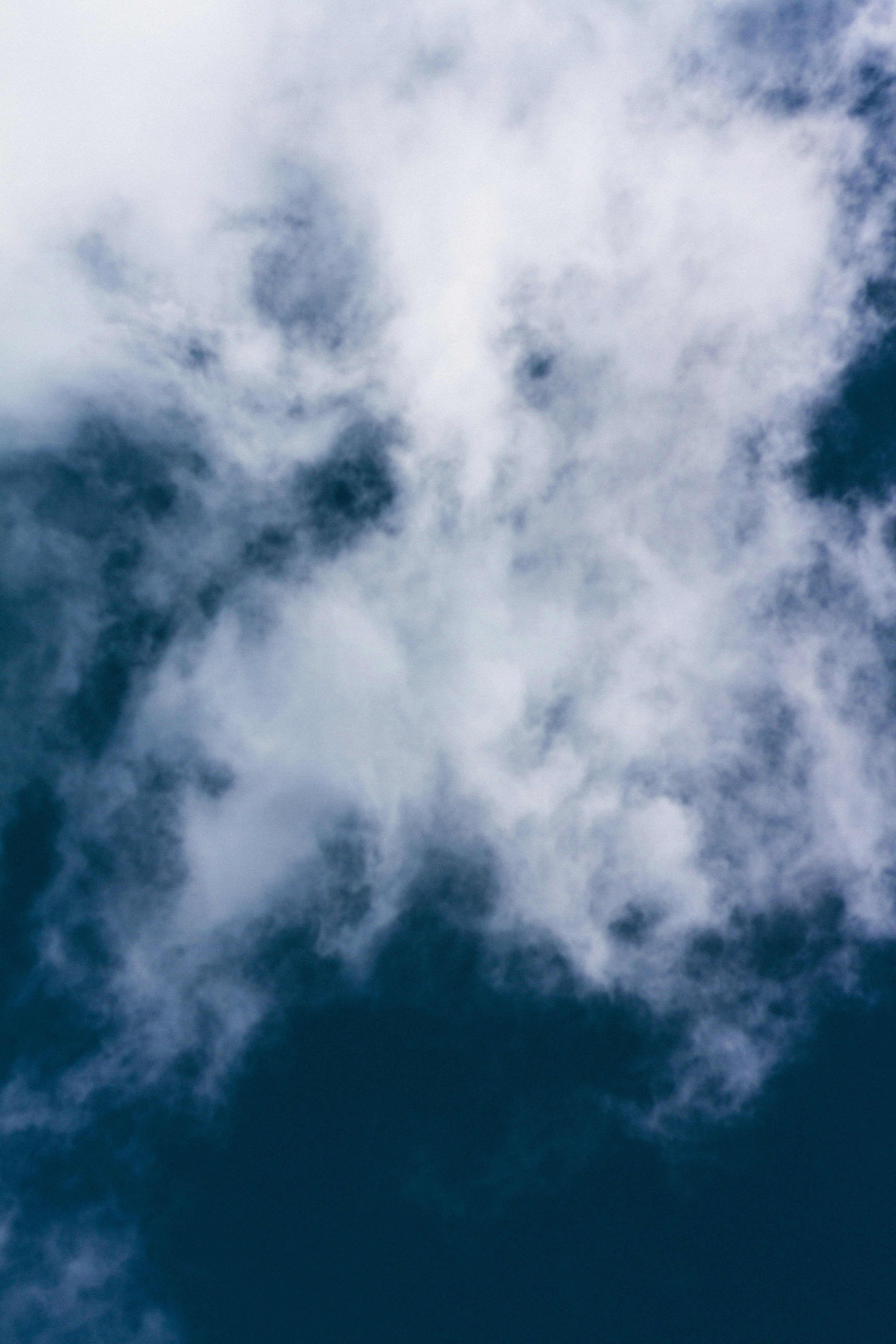 Photo by dhayaeddinebentaleb