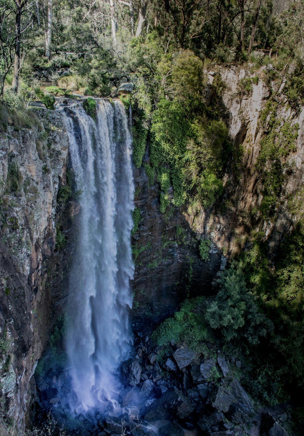 waterfalls in the middle of the forest