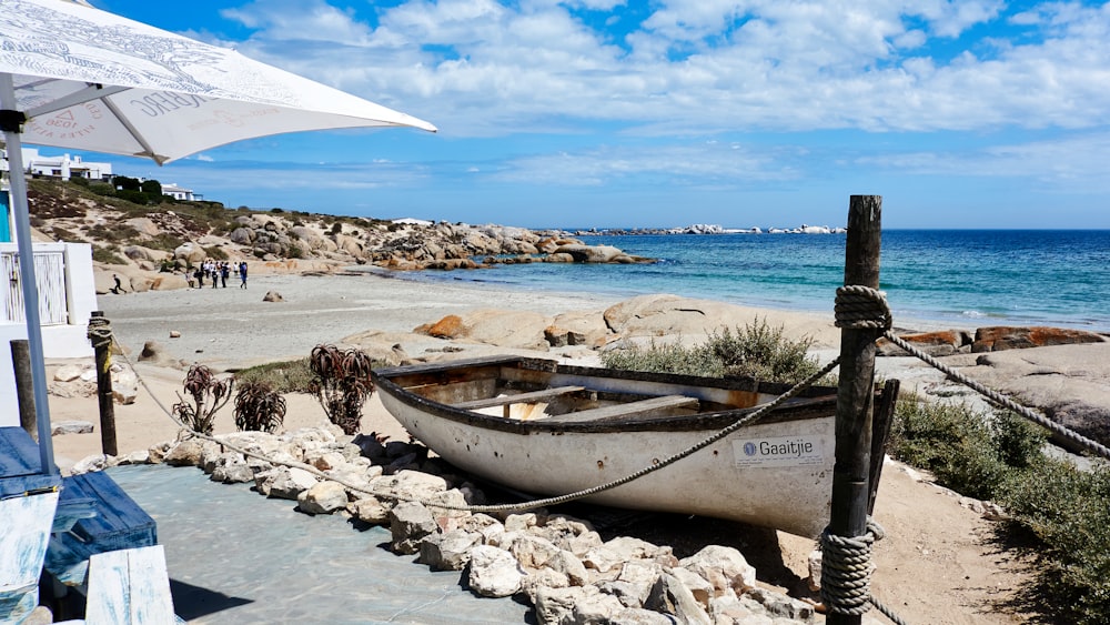 white and brown boat on shore during daytime