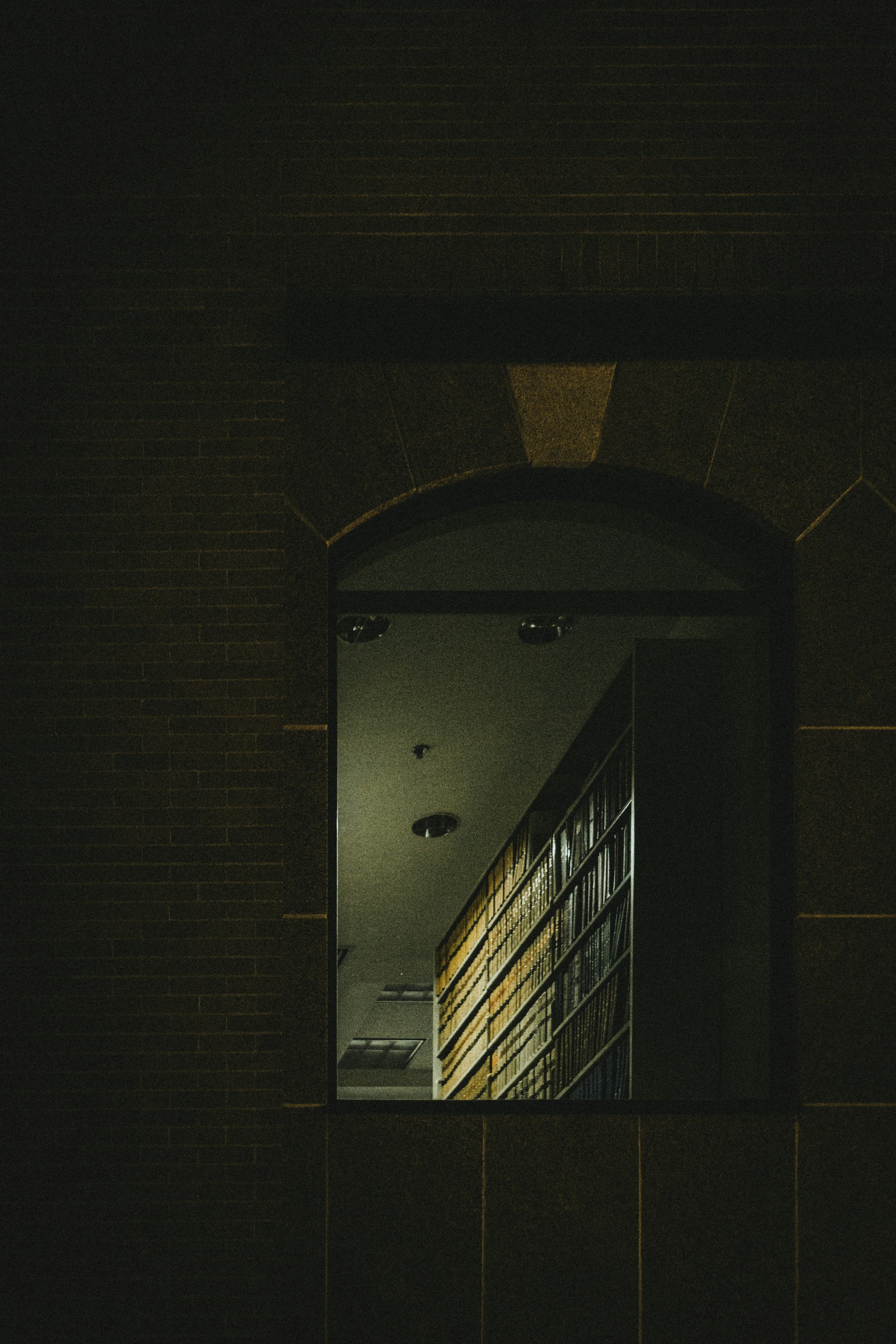 Photo by theshuttervision