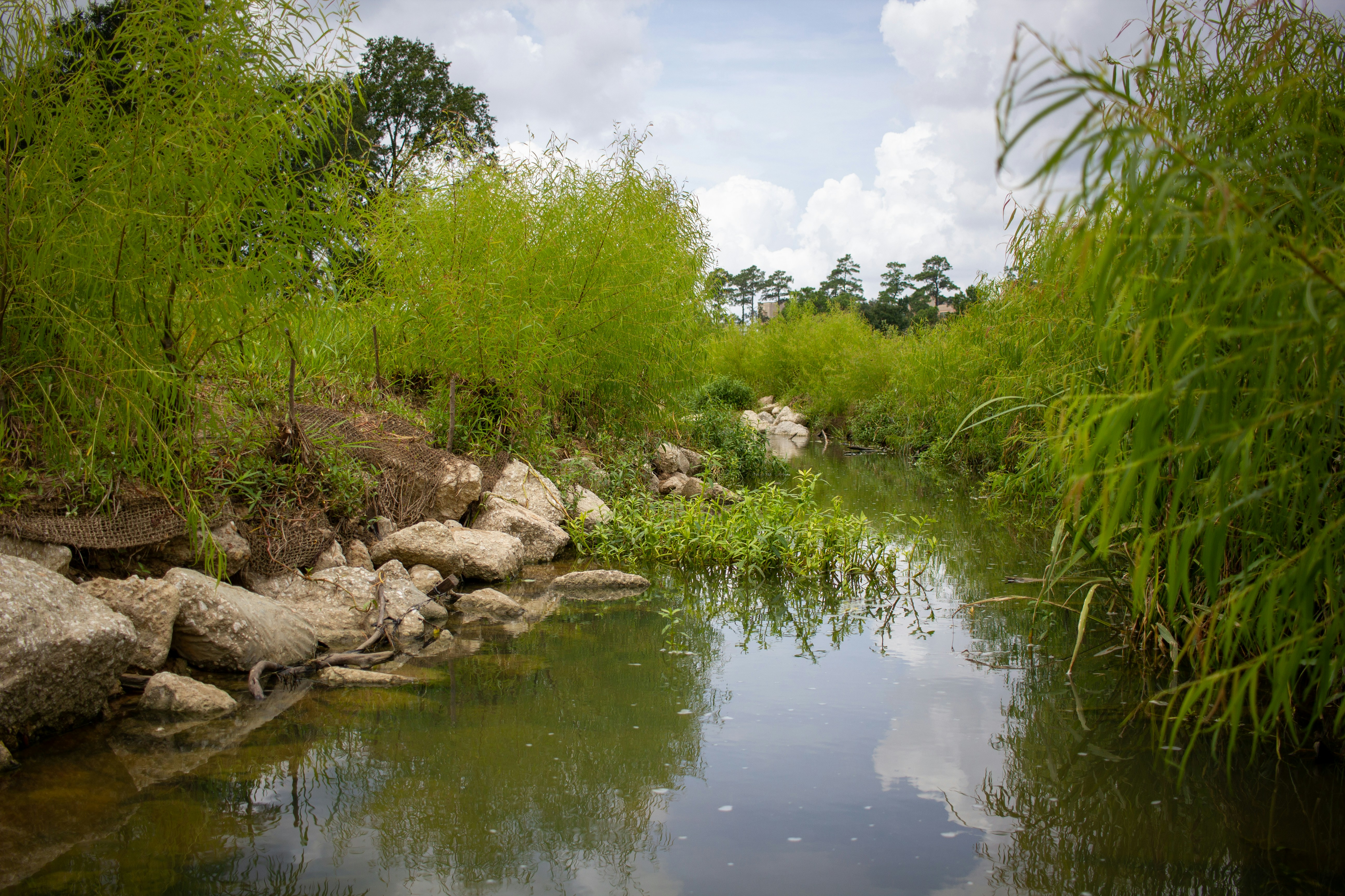 Photo by anirudhjanga