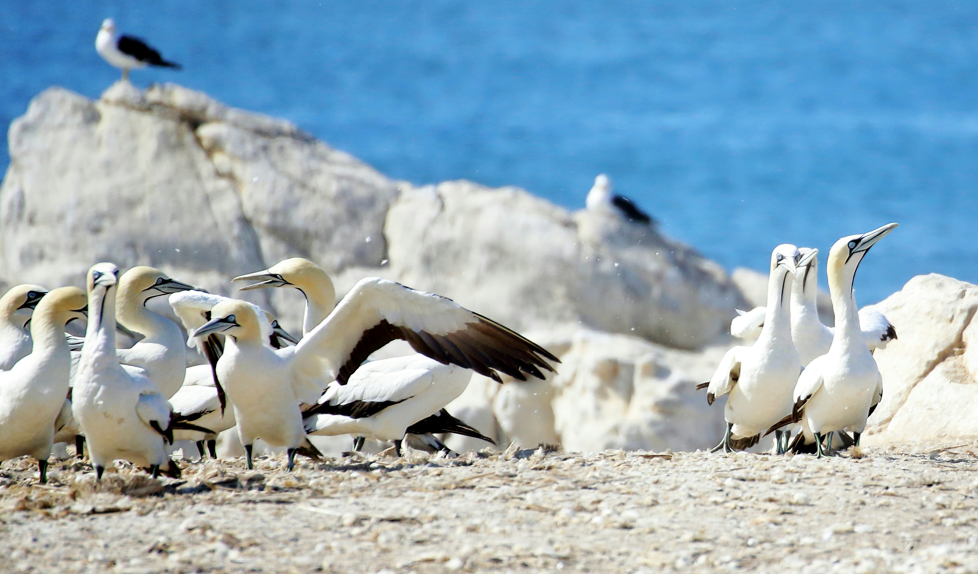 Photo by bullterriere