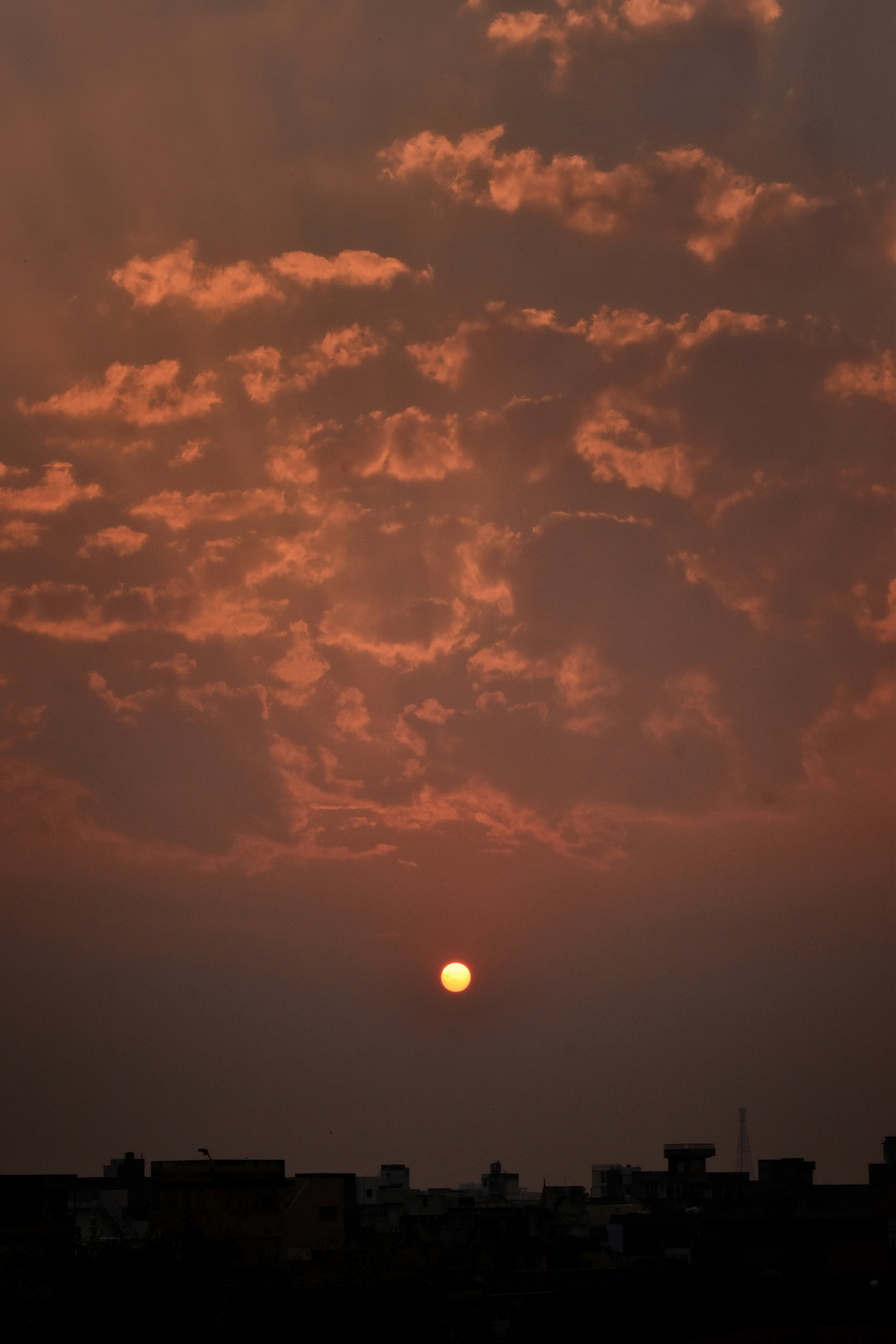 Photo by priyankapandey