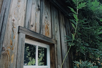 Close-up of natural wood paneling on a container house exterior surrounded by green foliage.