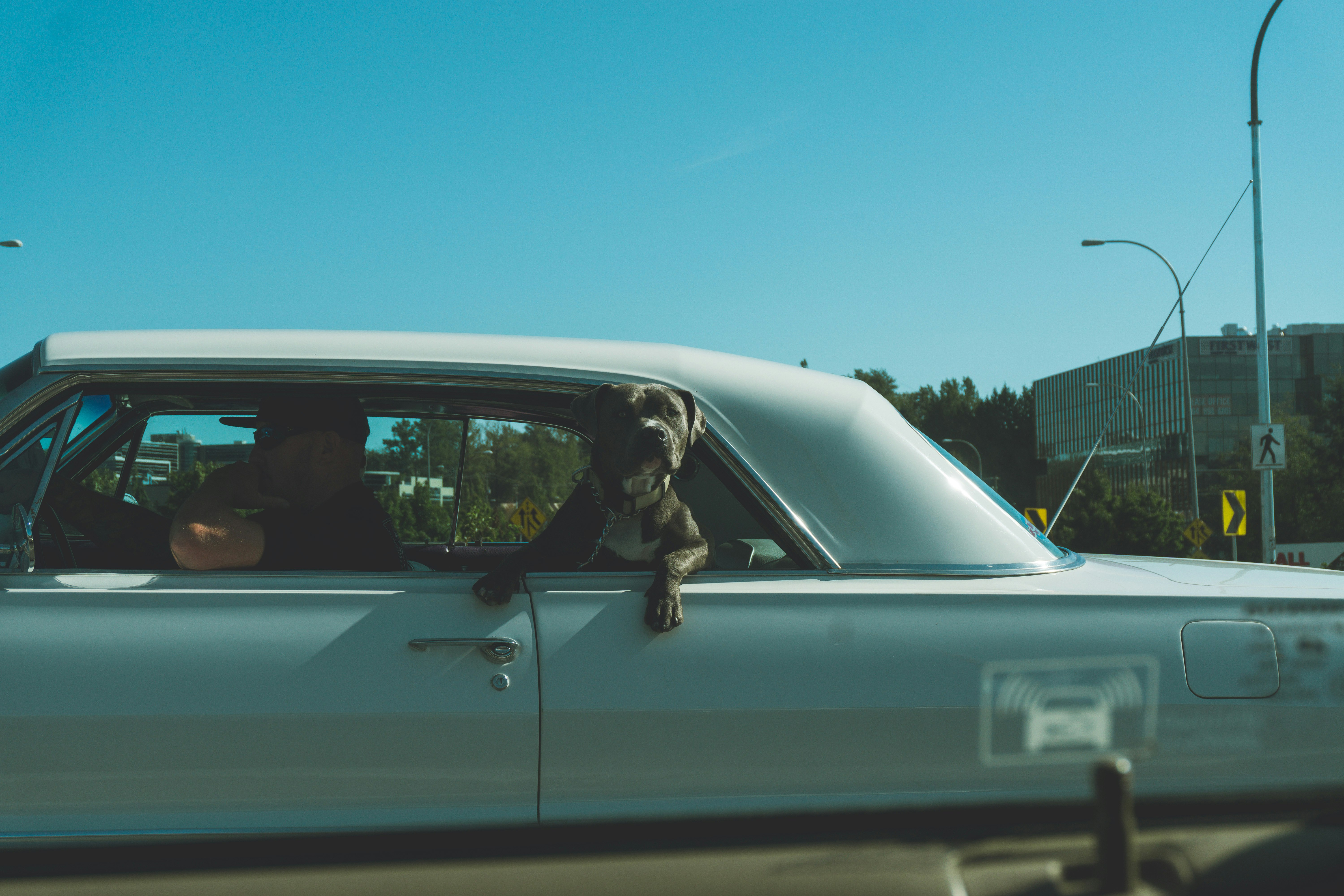 man in white shirt sitting on car