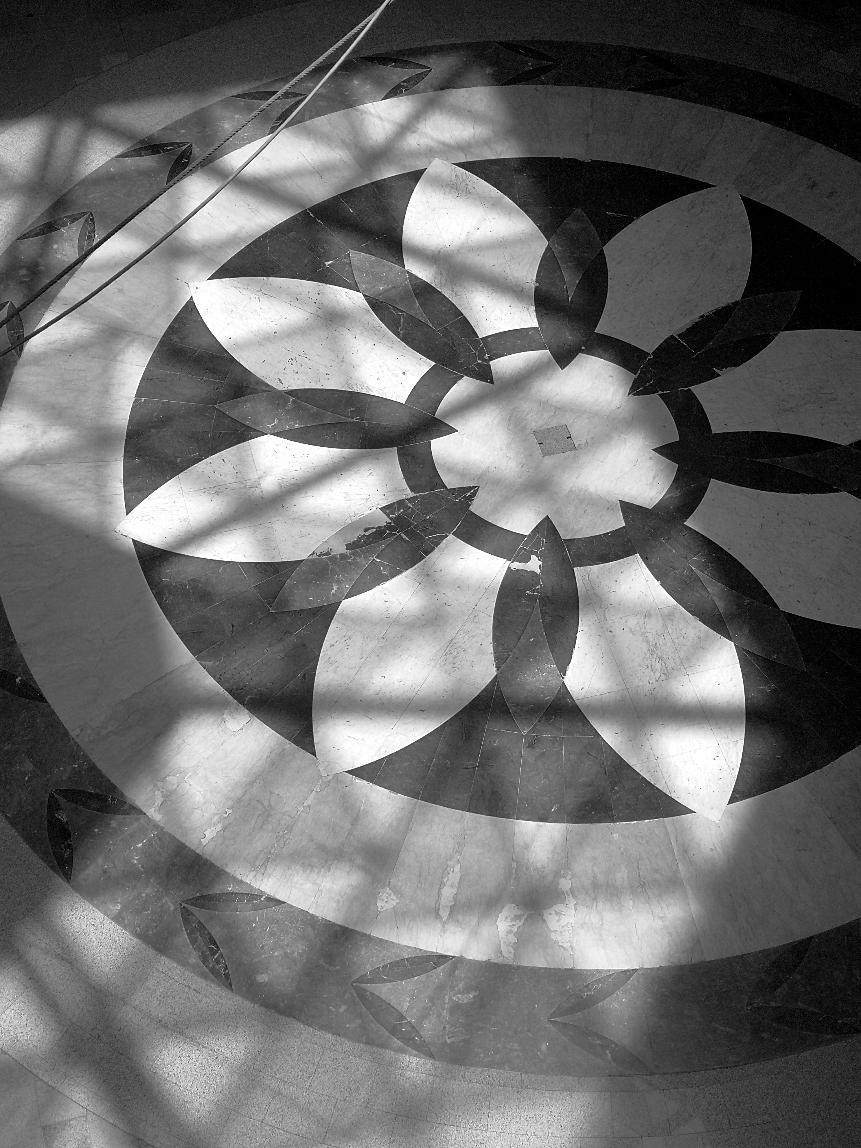 Photo by terrencesee