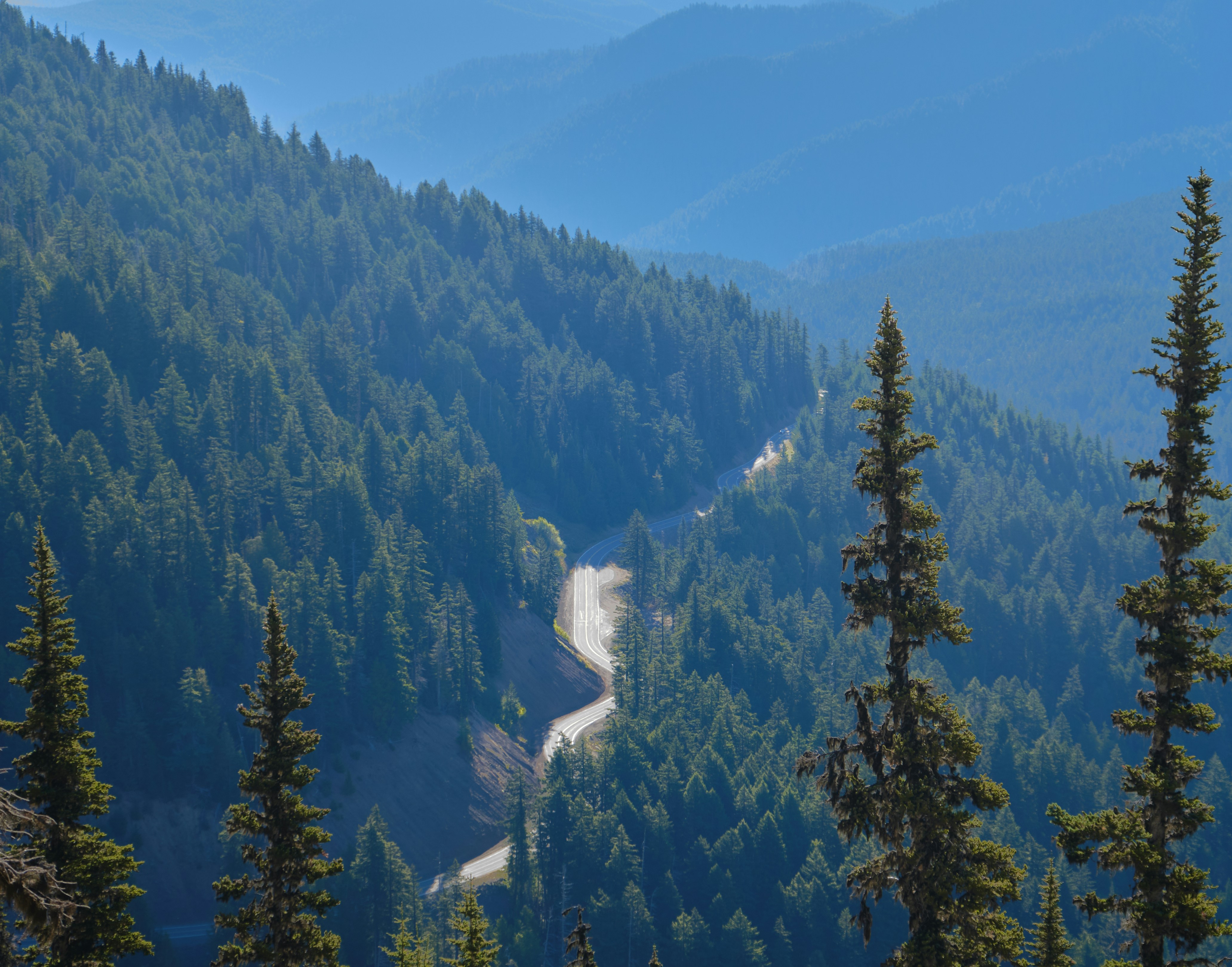 Photo by toastbusters