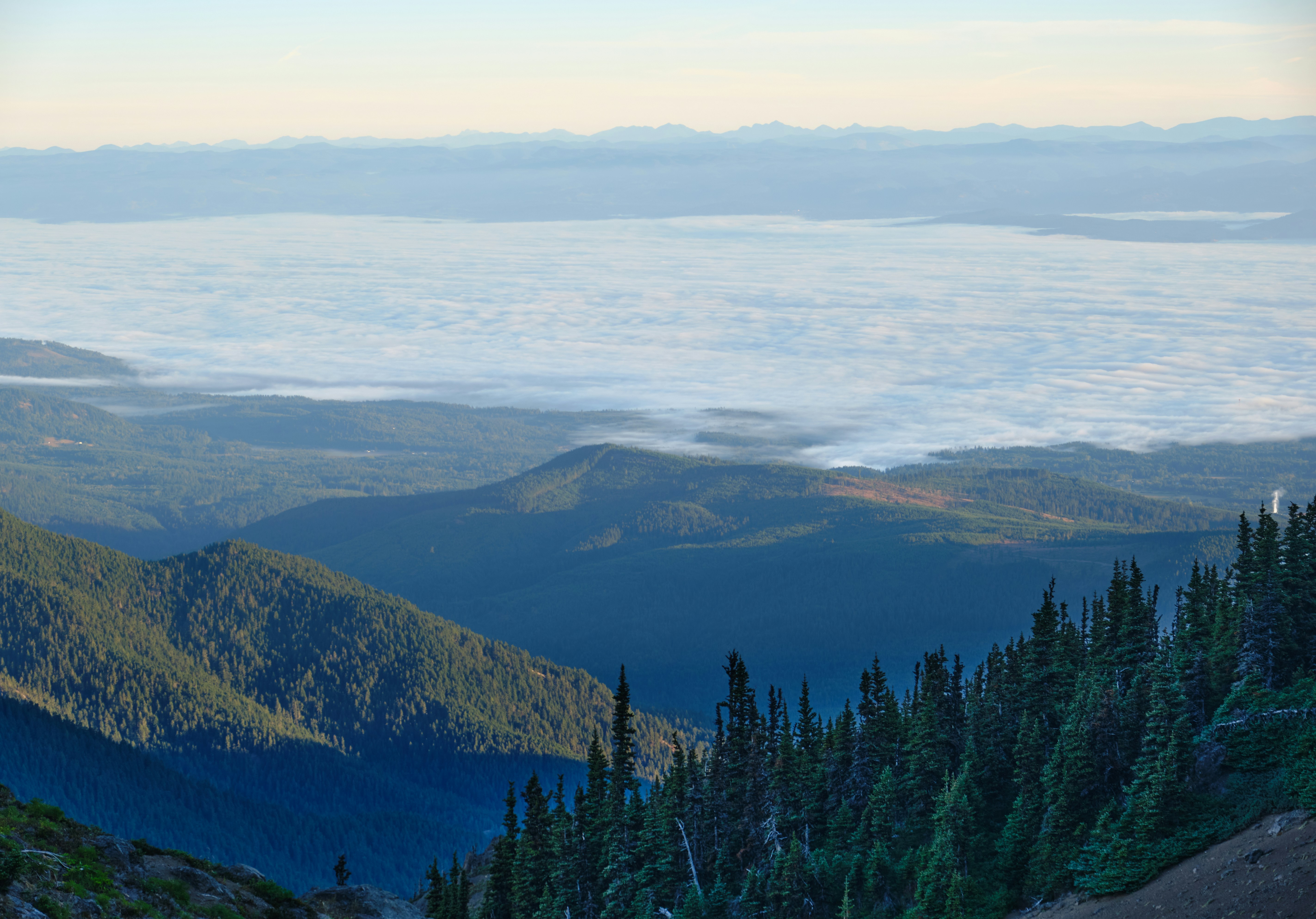 Photo by toastbusters