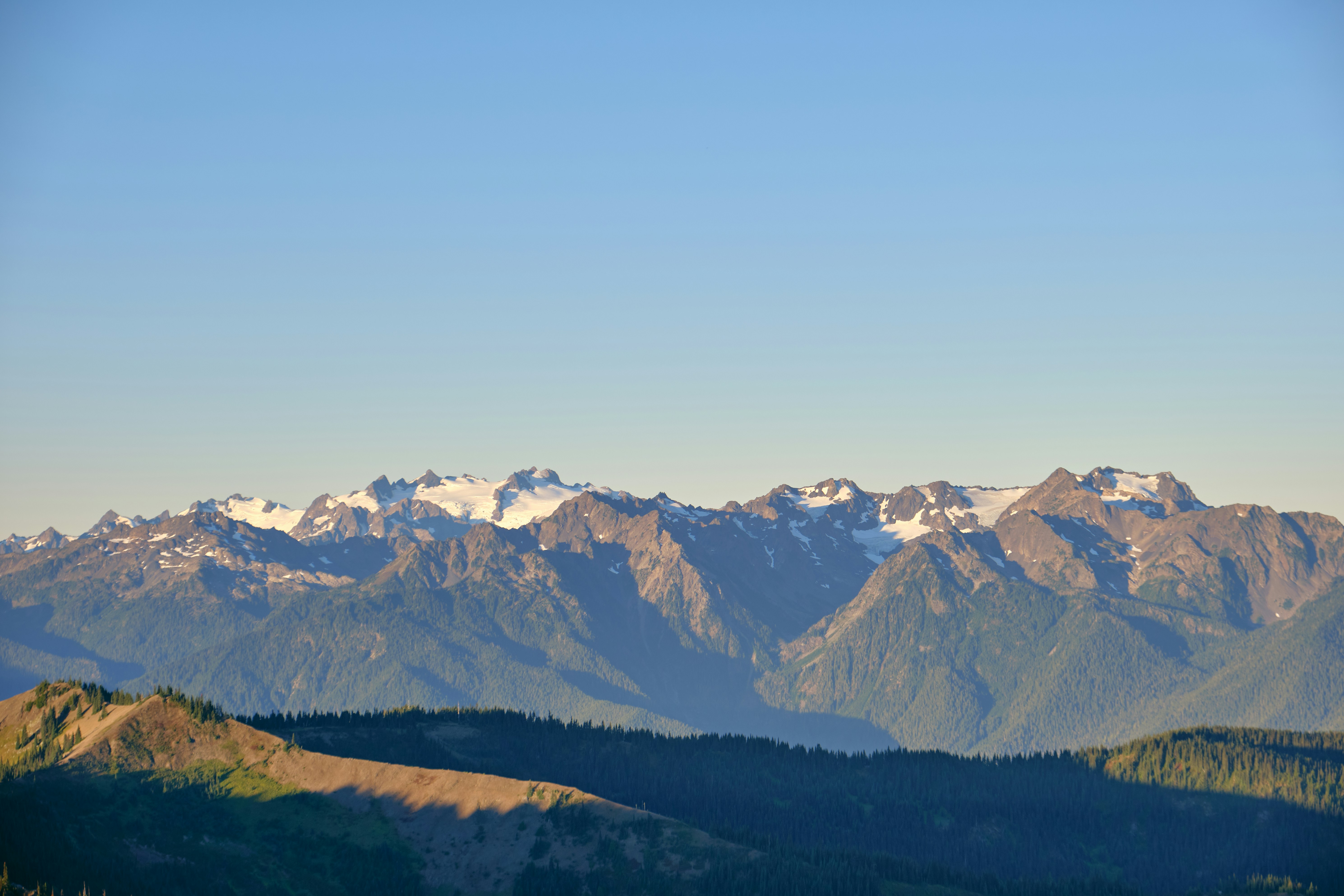 Photo by toastbusters