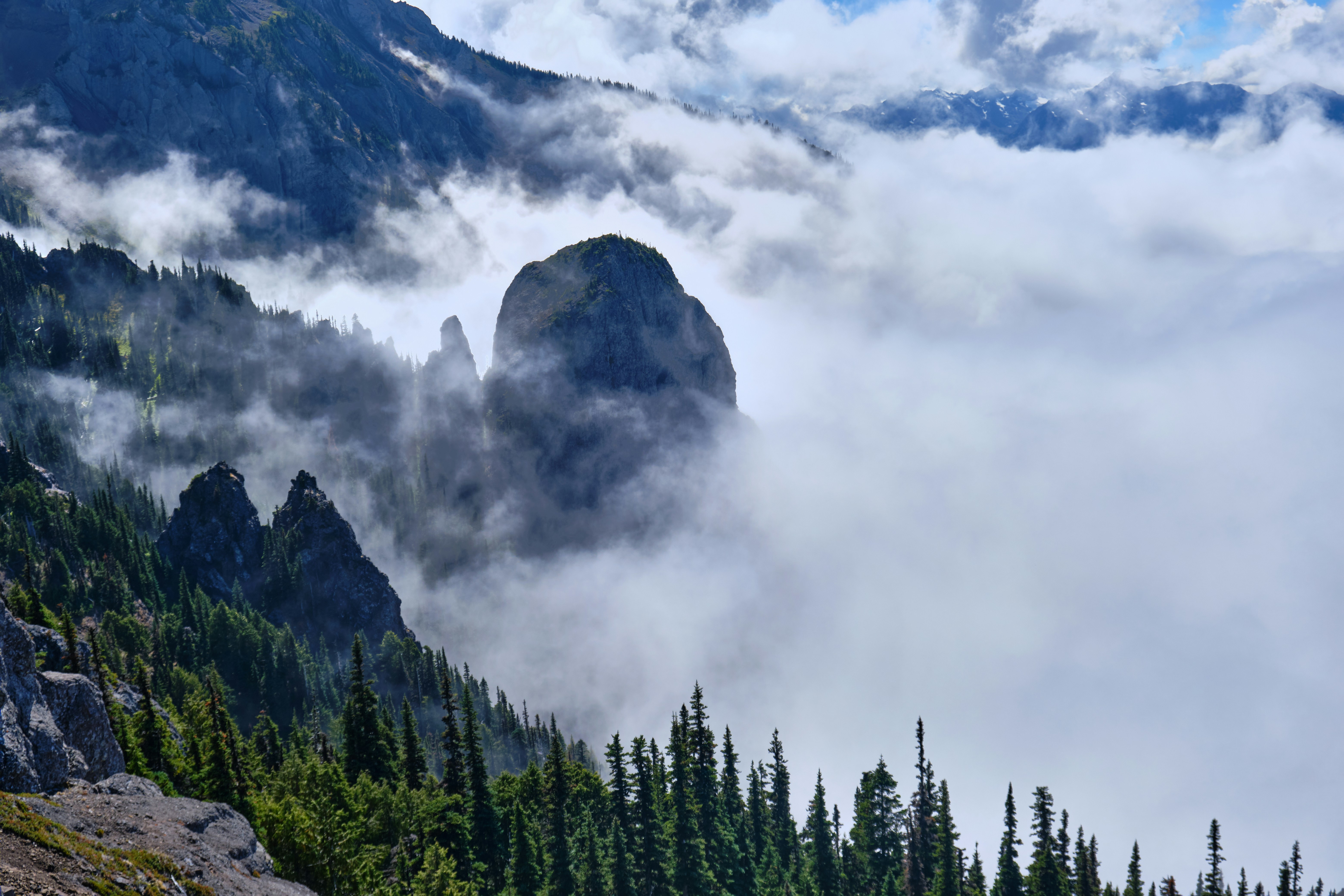 Photo by toastbusters