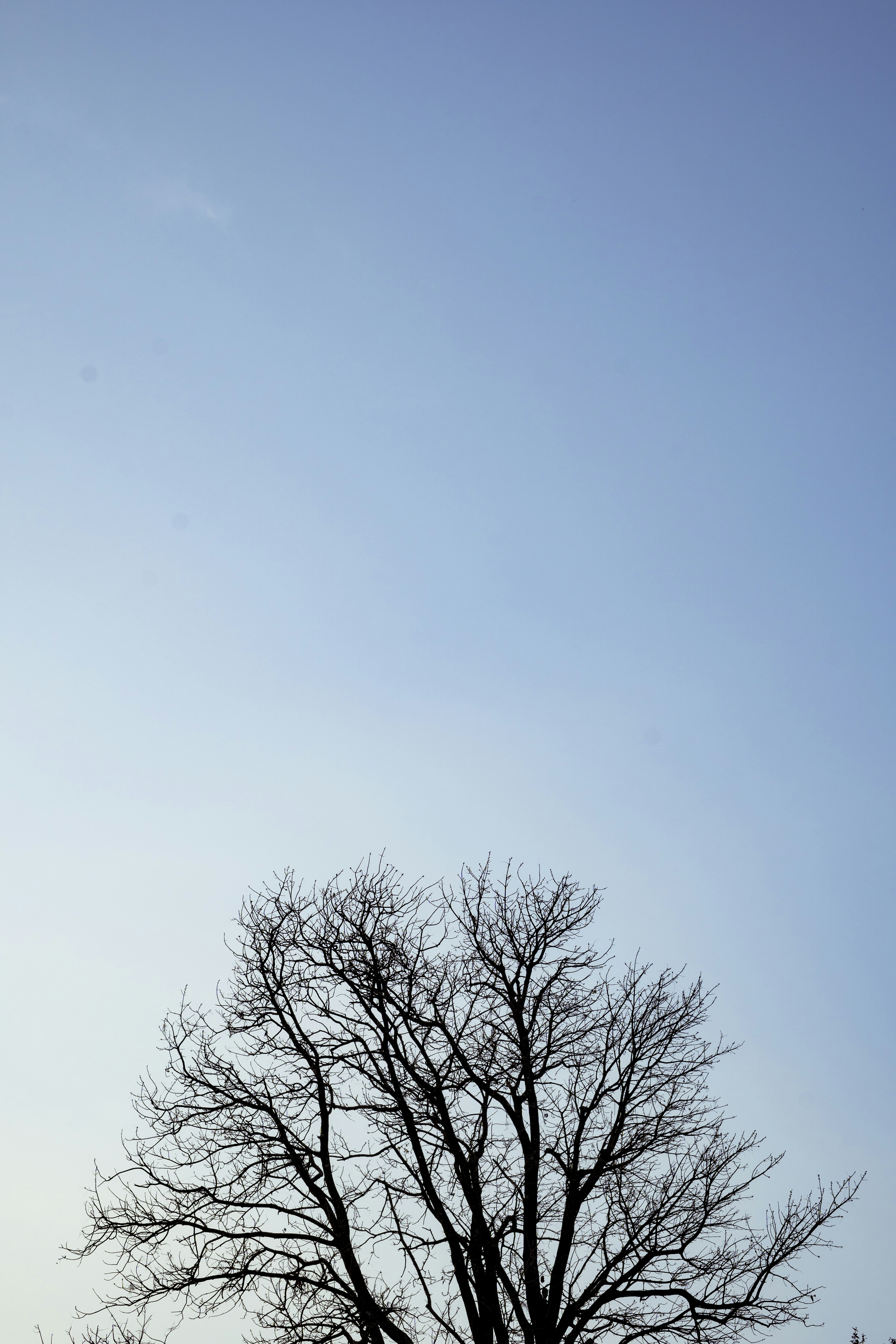 Photo by yogendras31