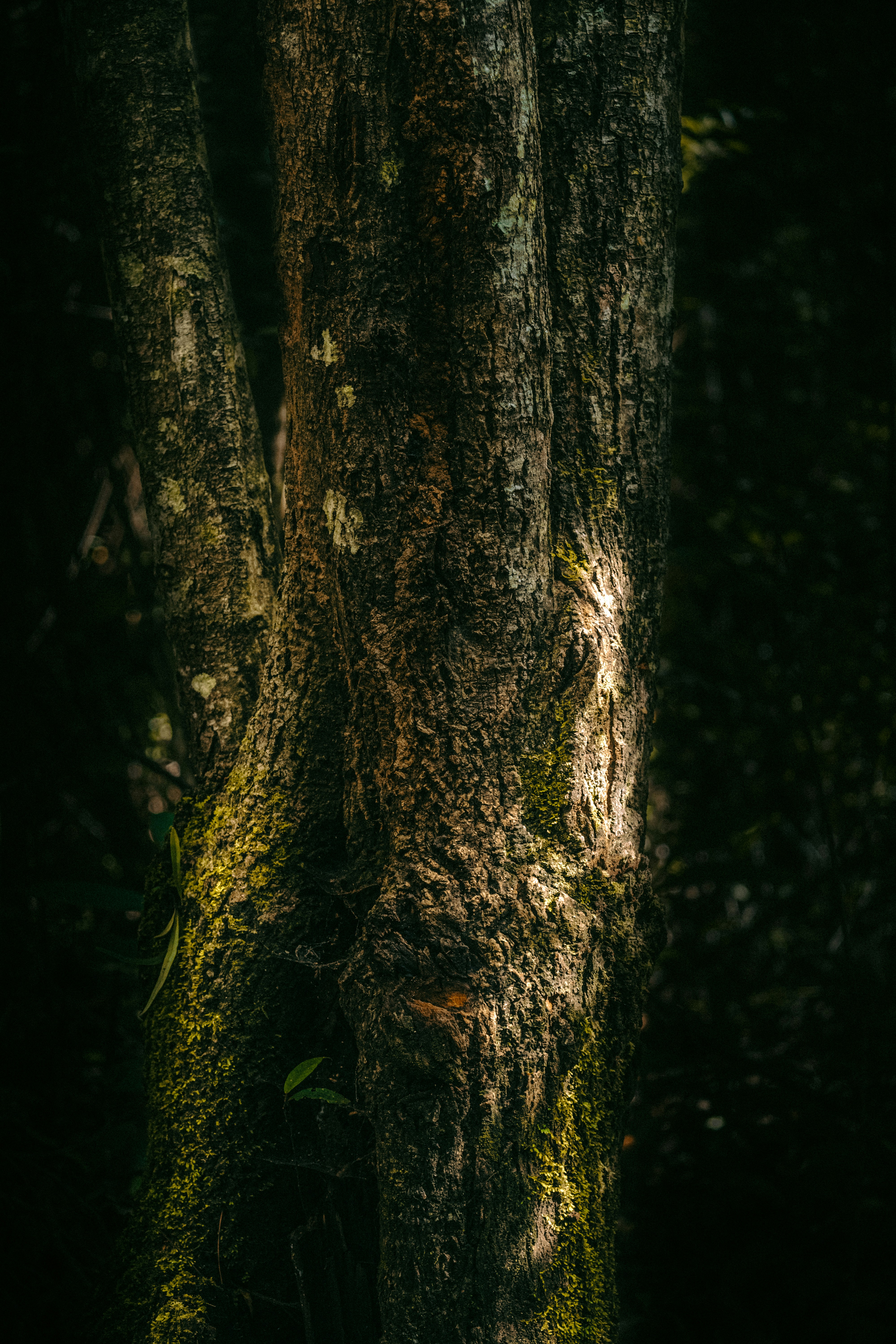 Photo by xiaowuuuuuuu