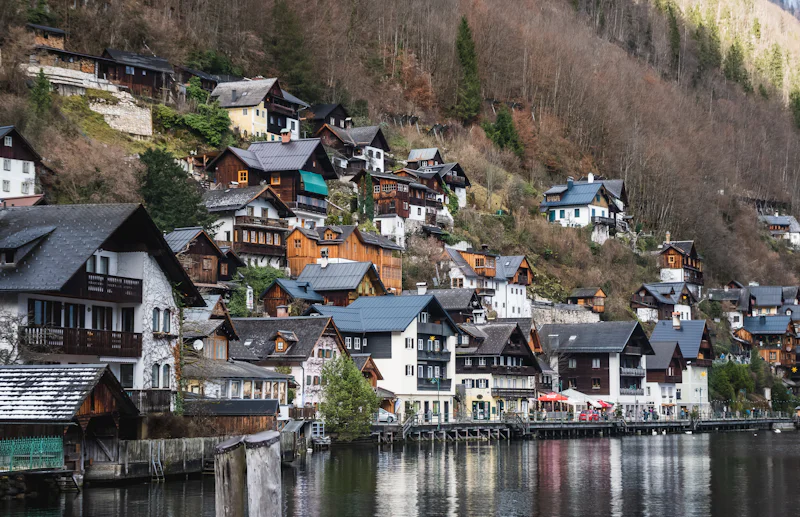 Houses near a body of water during the day